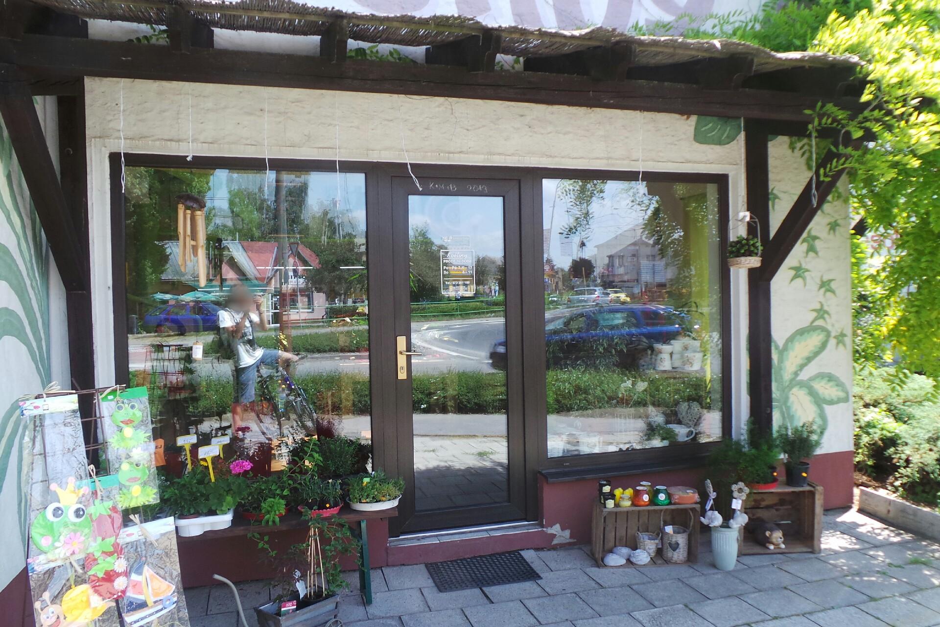 Zimčíková Jana - květiny