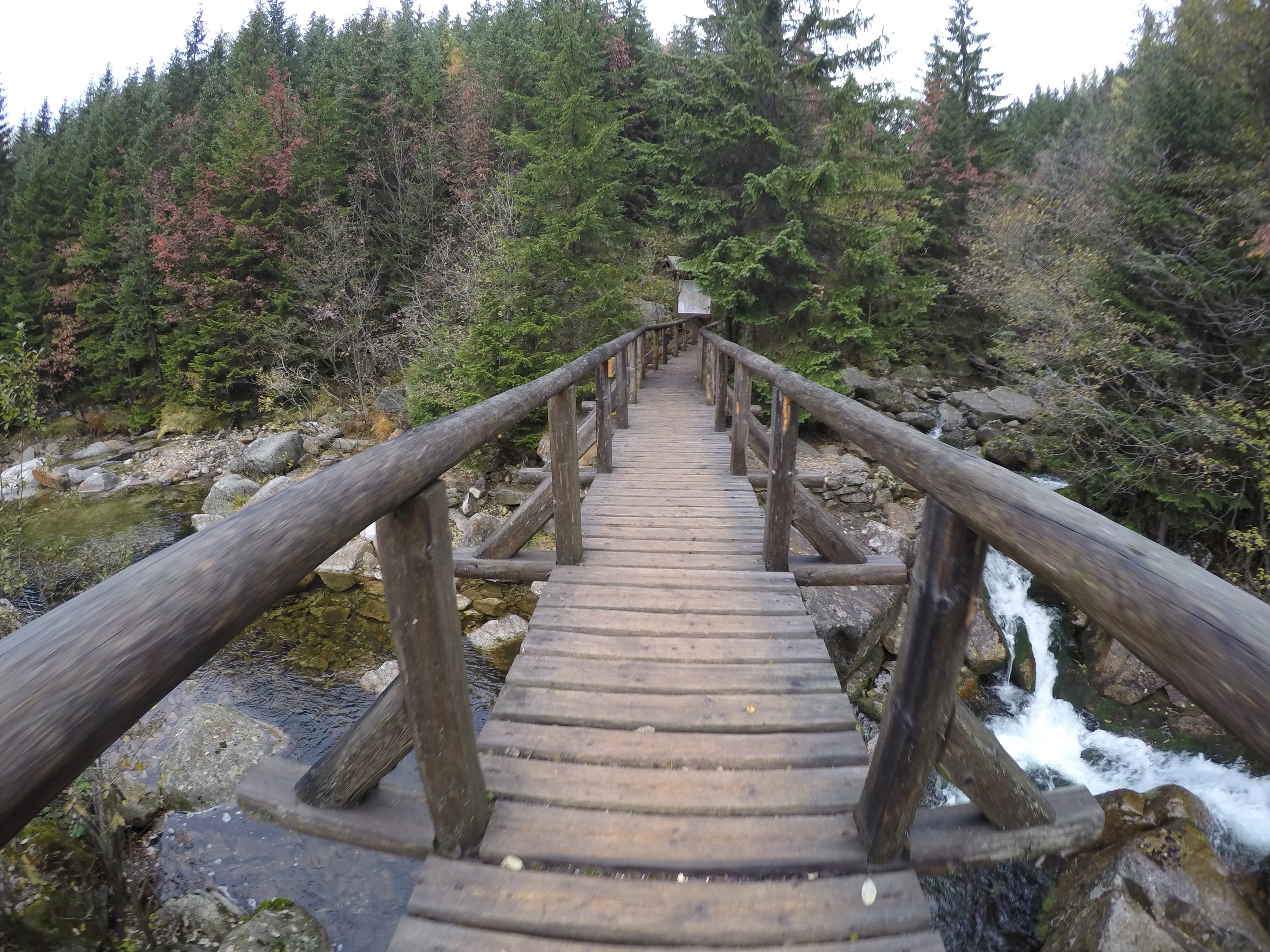 Restaurace Bouda Bílé Labe foto 3