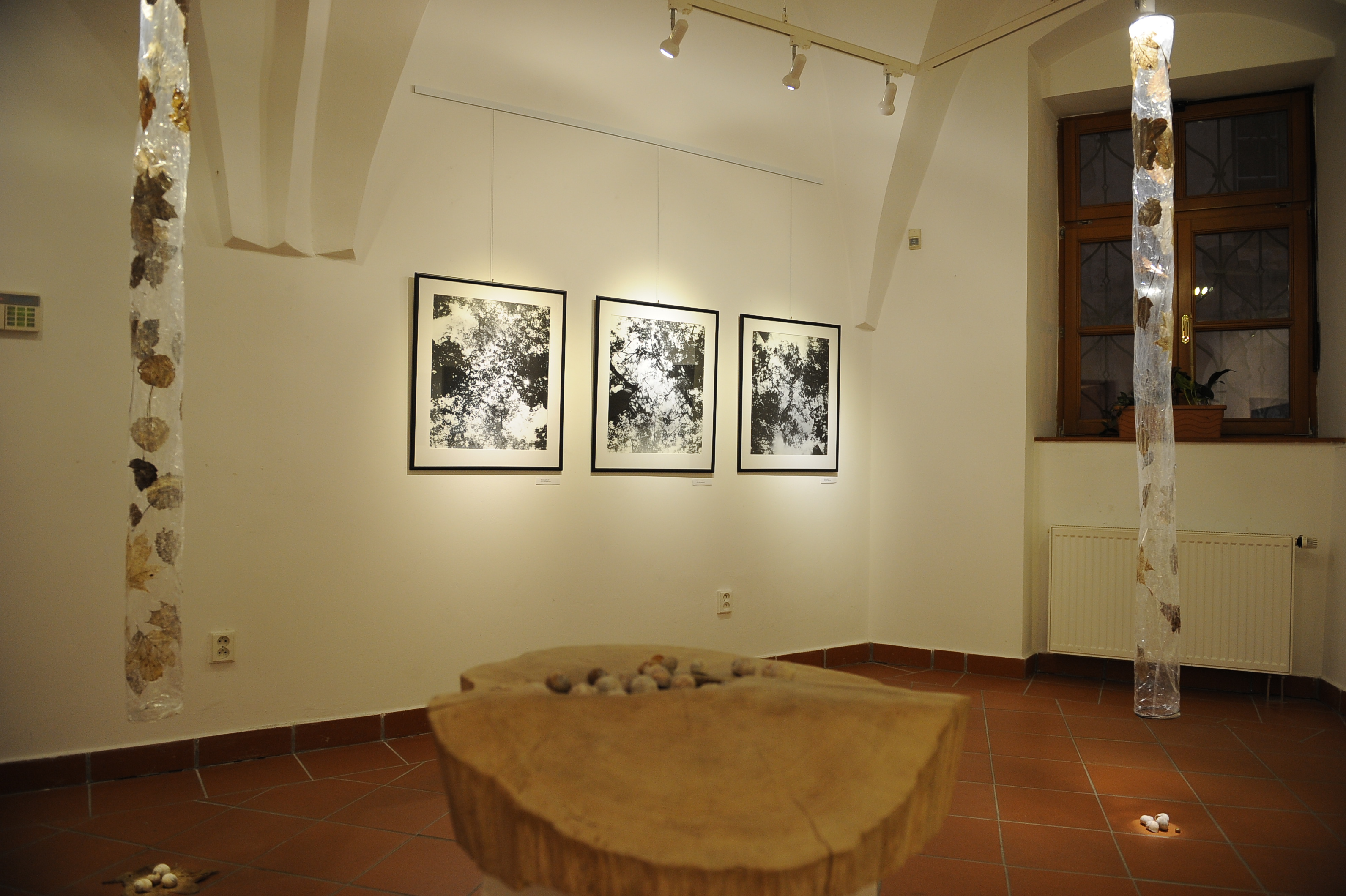 Galerie U Radnice foto 5