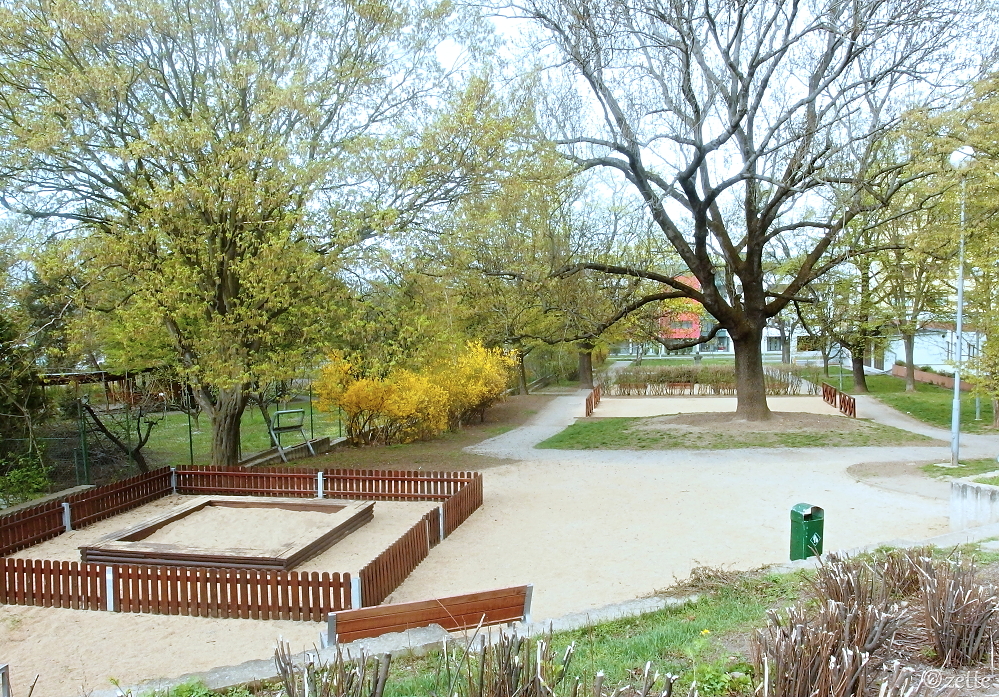 Úřad městské části Brno-Židenice foto 4