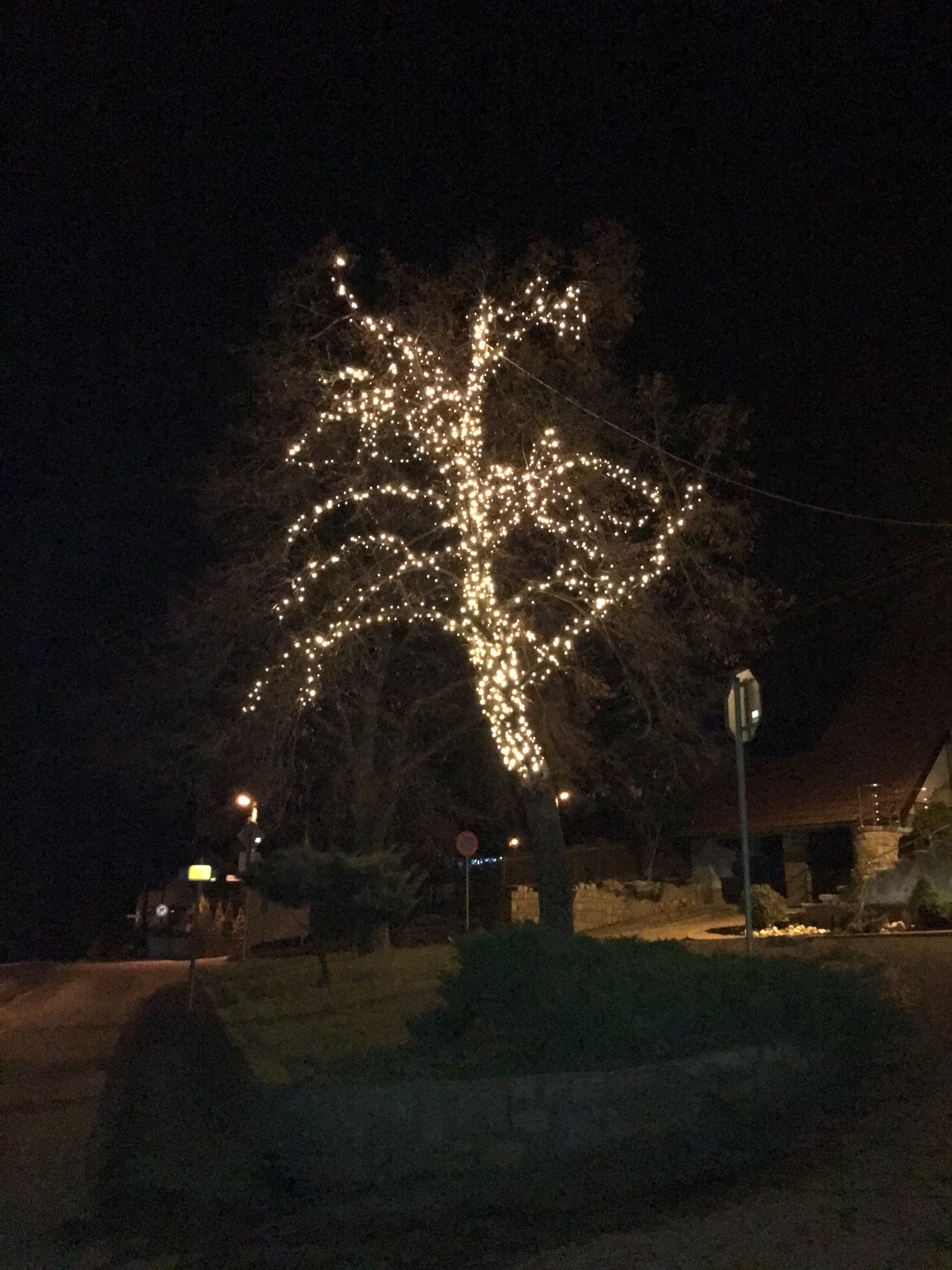 VRBICKÝ, s.r.o. foto 2