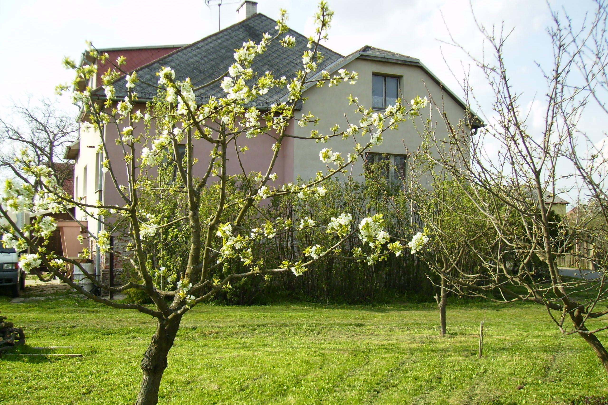 Vila Eliška - ubytování v soukromí