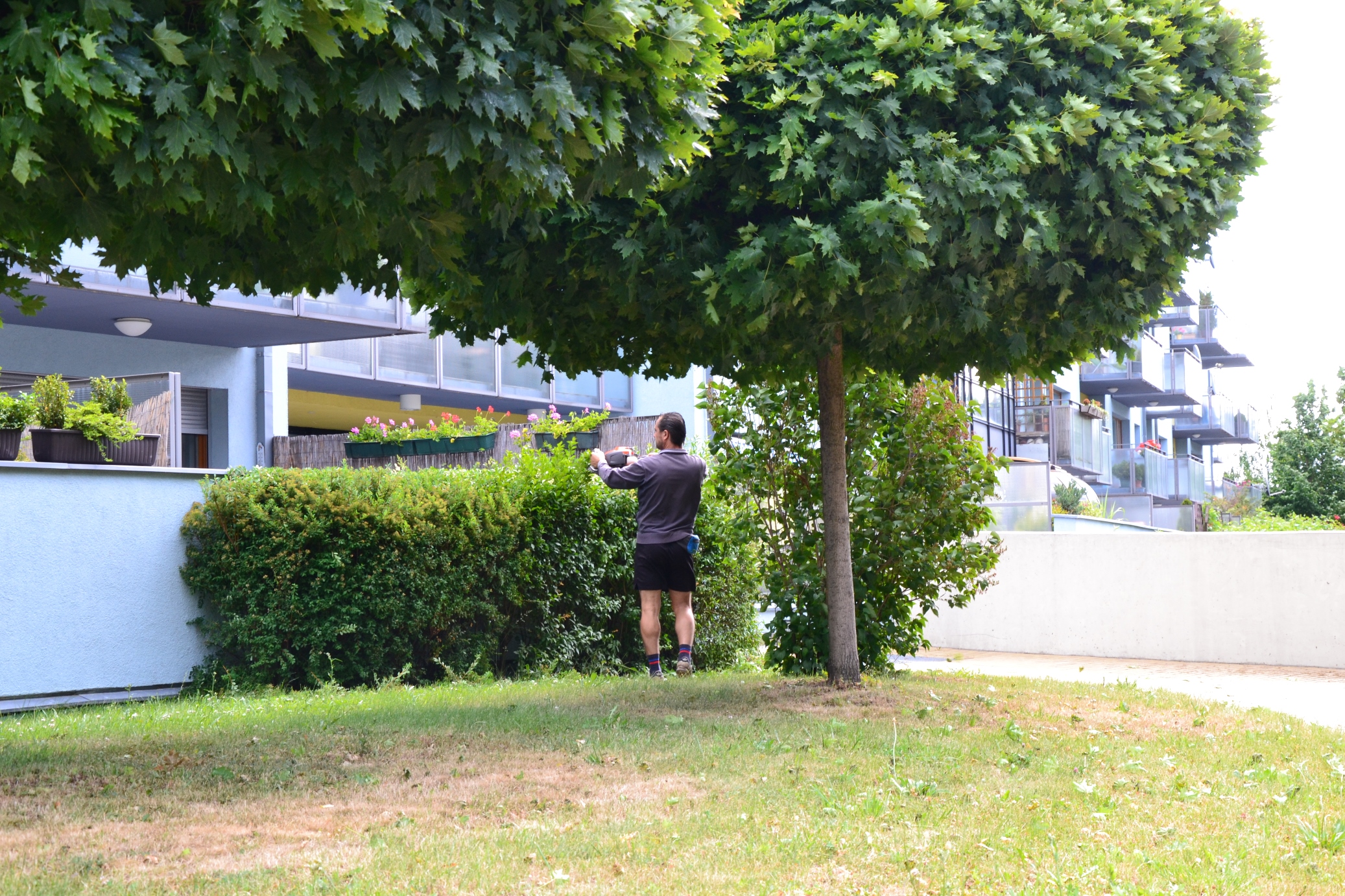 ÚKLID 24.cz - úklid bytových domů foto 3