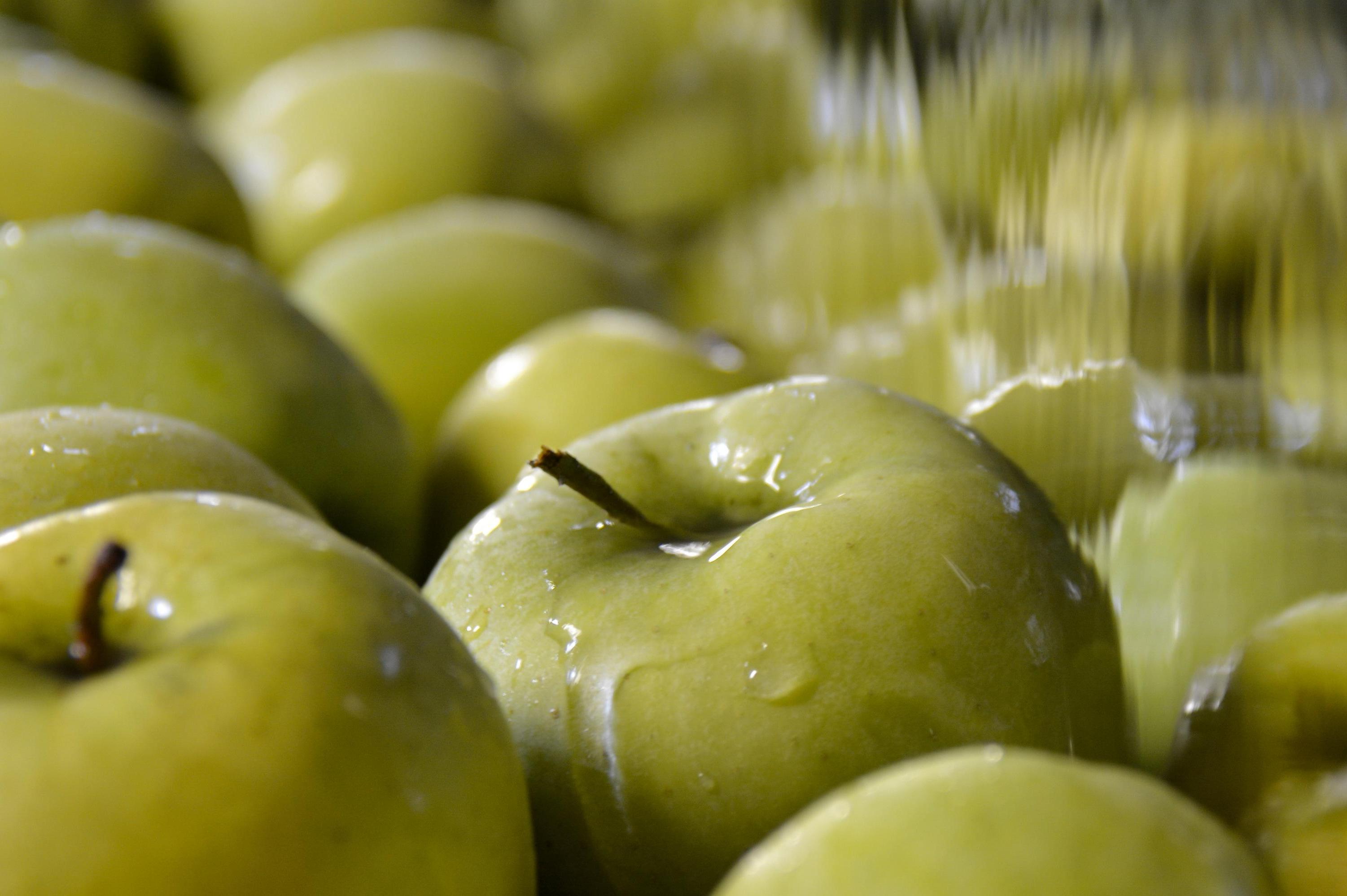 FARMA U TŘÍ DUBŮ foto 1