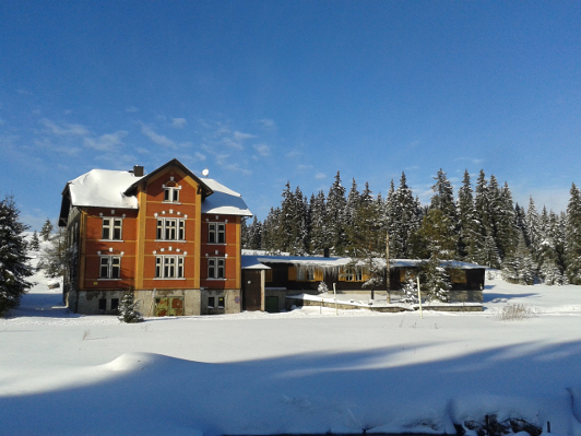 Alice Janstová - Mezi Jeleny foto 1