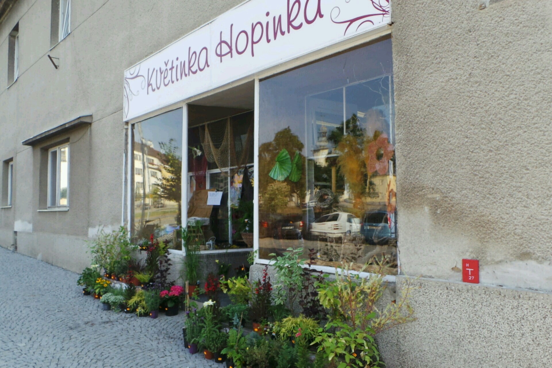 Květinka Hopinka