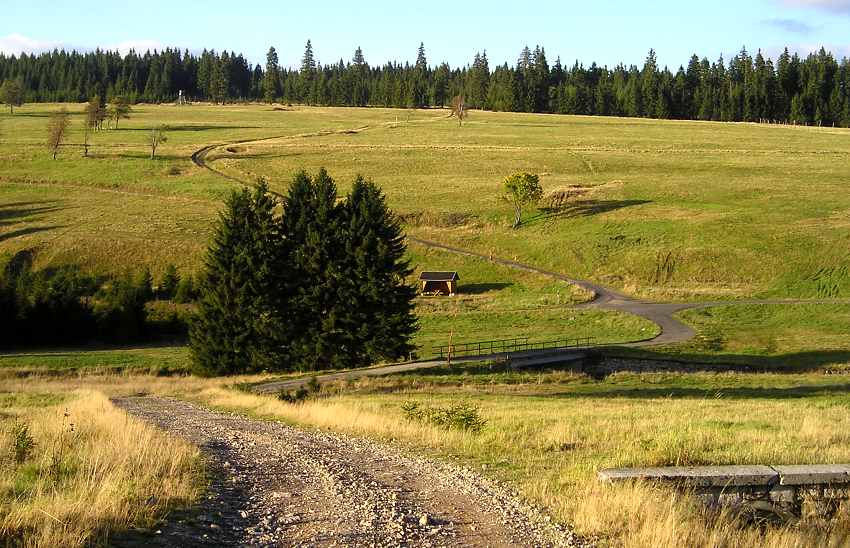 Penzion Ilma foto 6