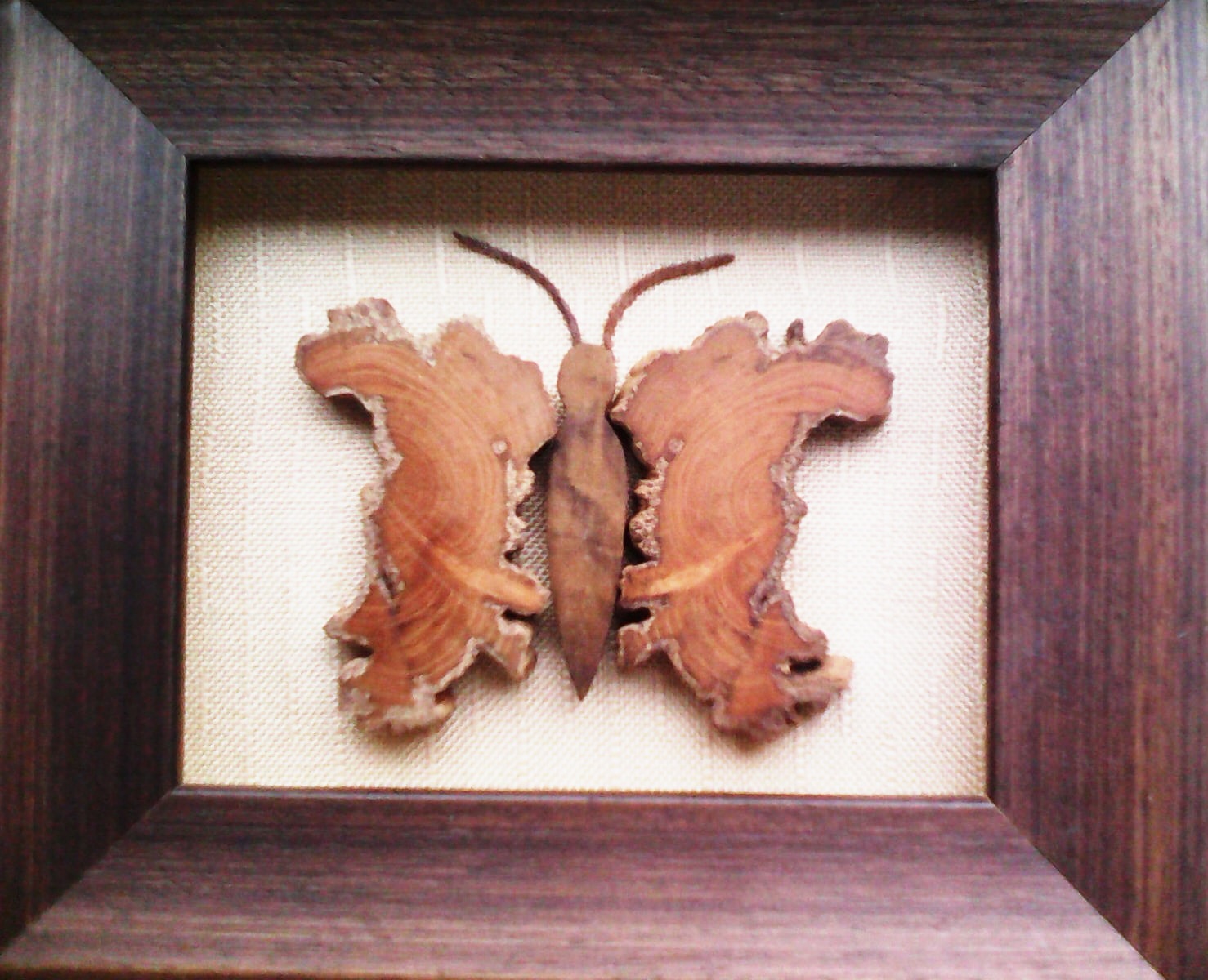 Agentura ARS VITA foto 2