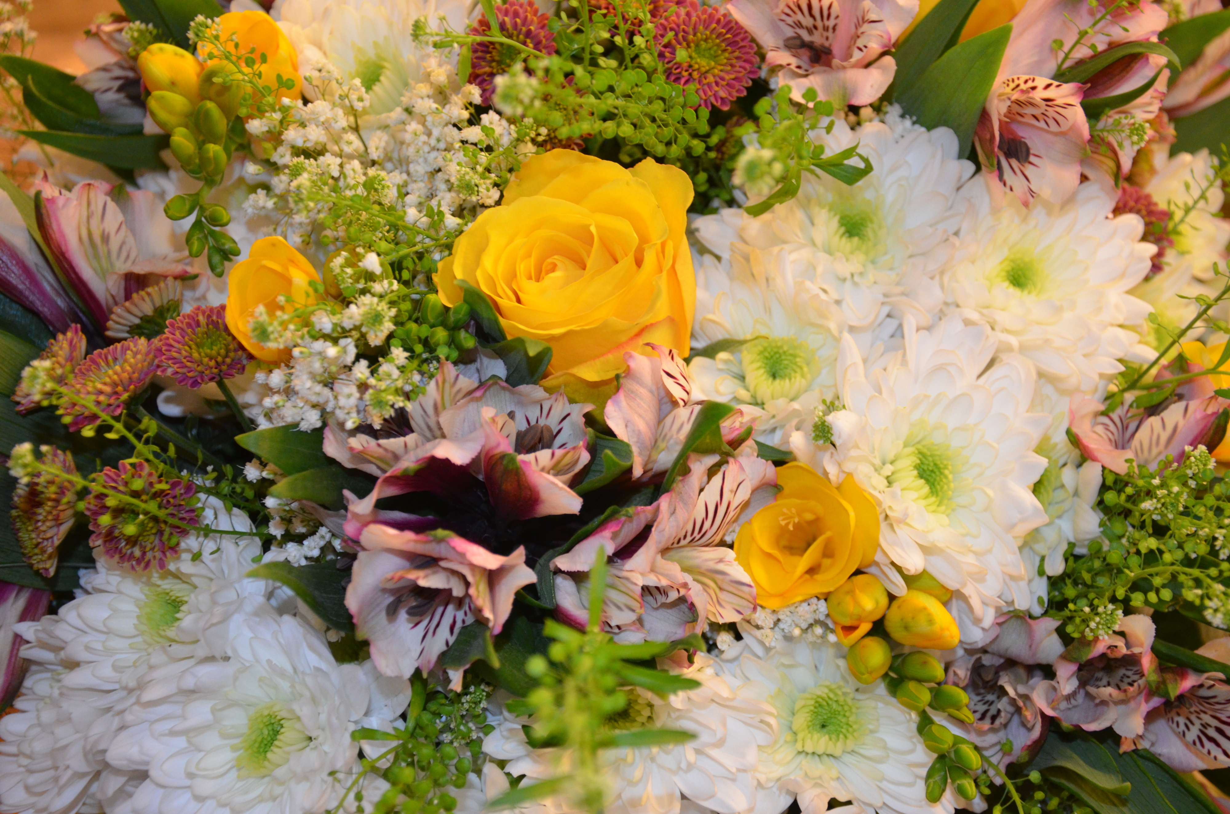 KVĚTINÁŘSTVÍ SLUNEČNICE, s.r.o. foto 2