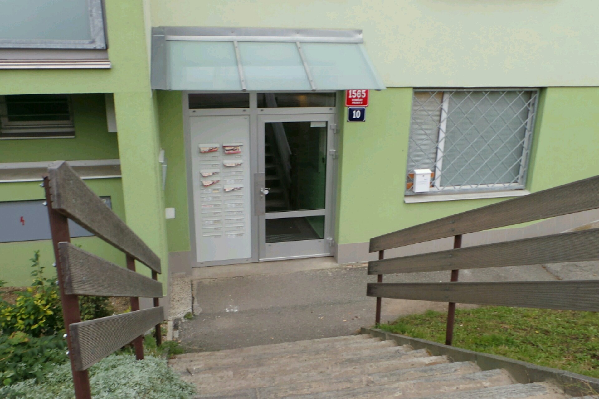 Horký černý kohout