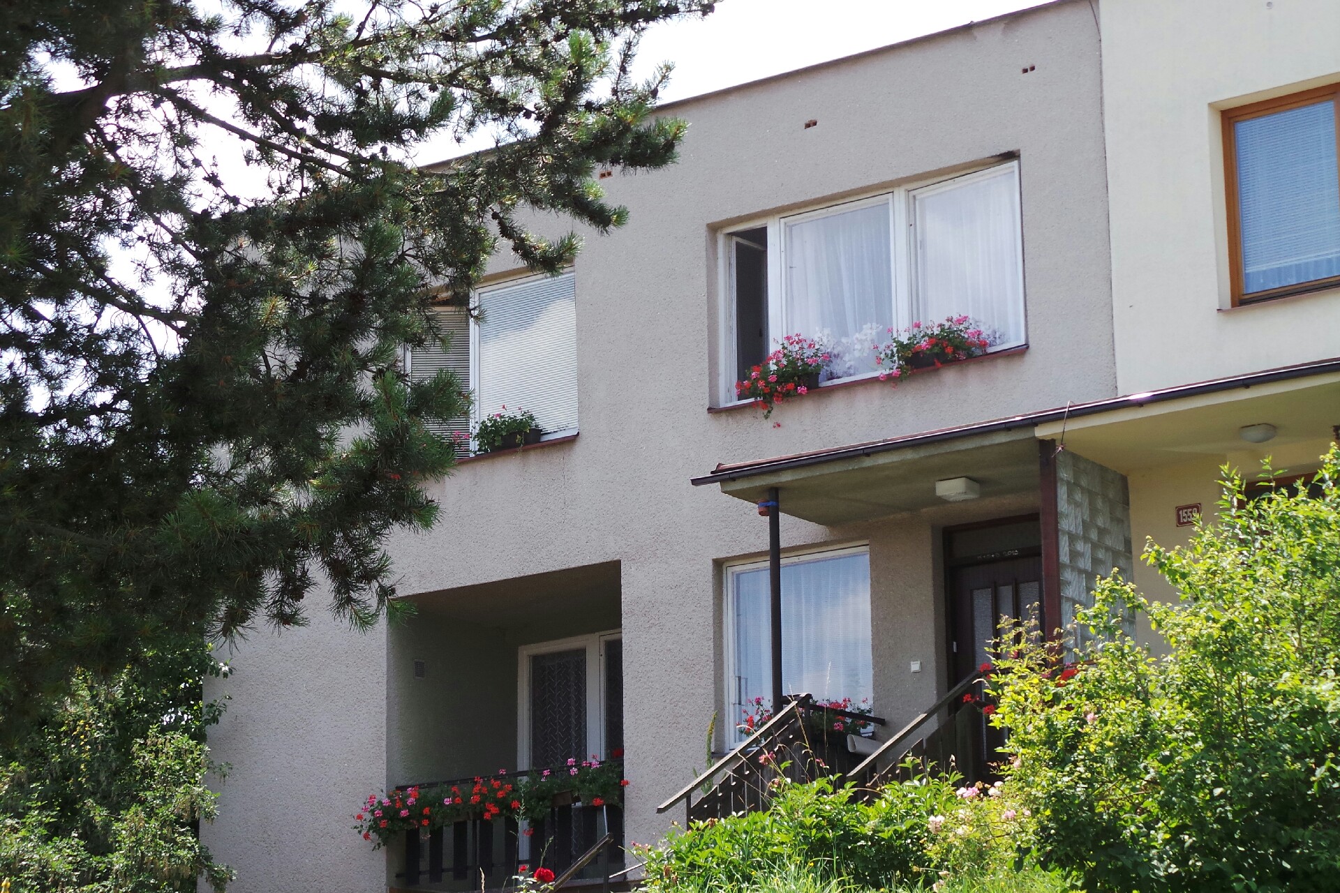 Jazyková agentura ALF