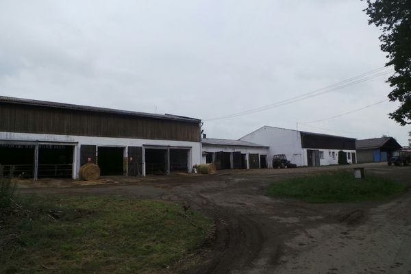 Zemědělské družstvo Nová Ves (Nová Ves u Chýnova) • Firmy.cz