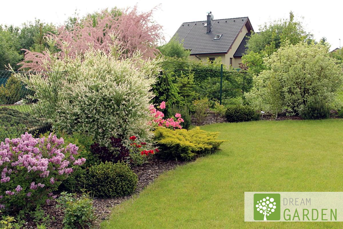 Dream Garden foto 4
