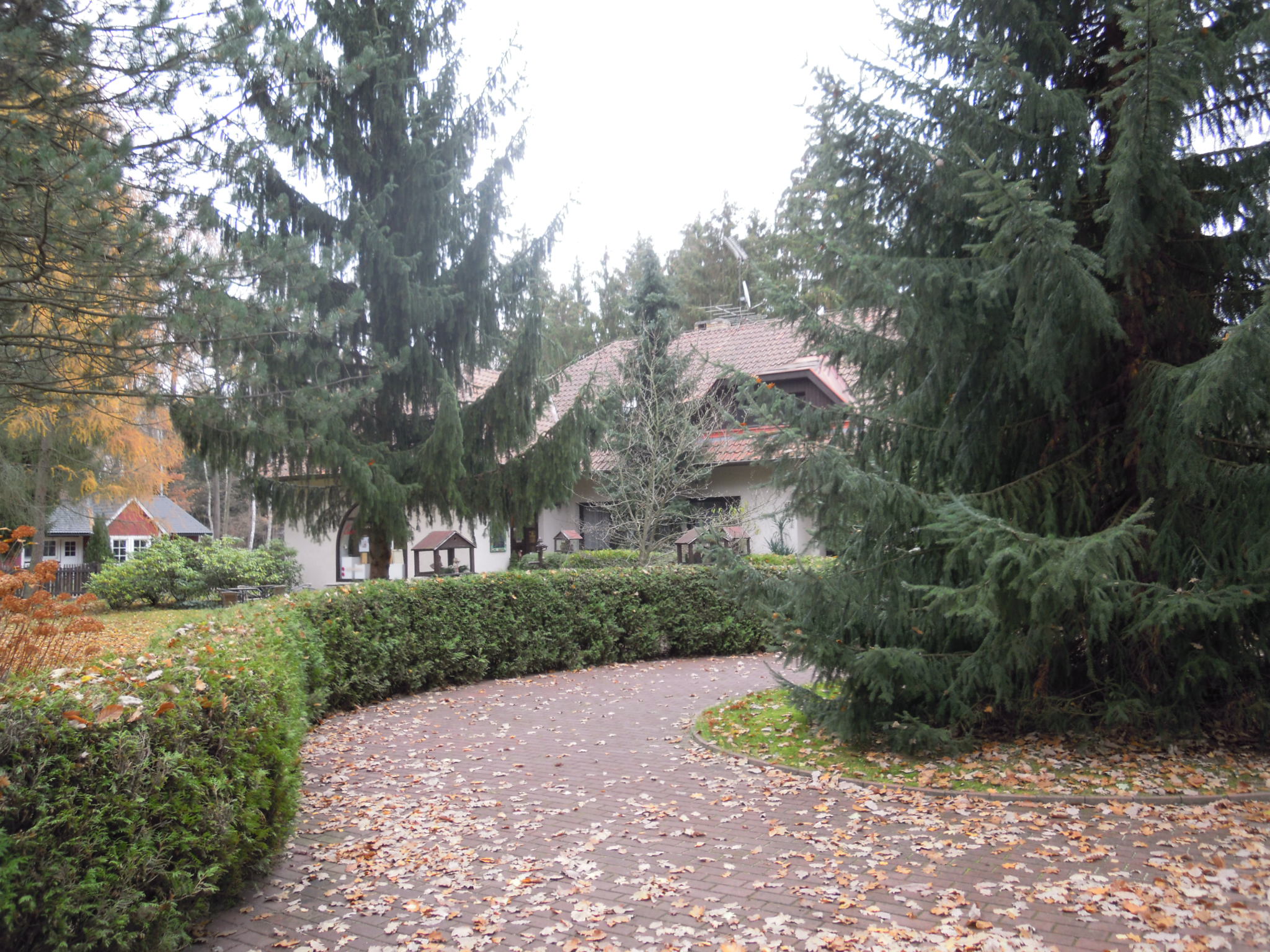 Lesní ateliér Kuba