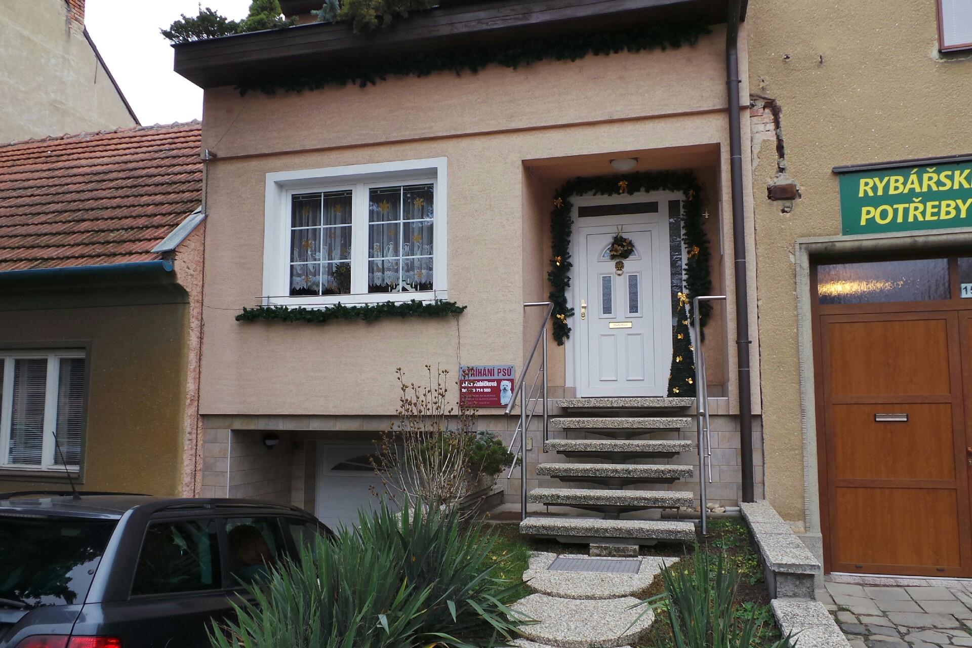 Jitka Kubíčková - stříhání psů