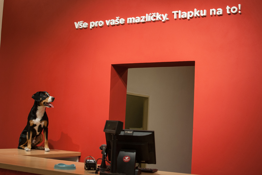 SpokojenyPes.cz foto 4