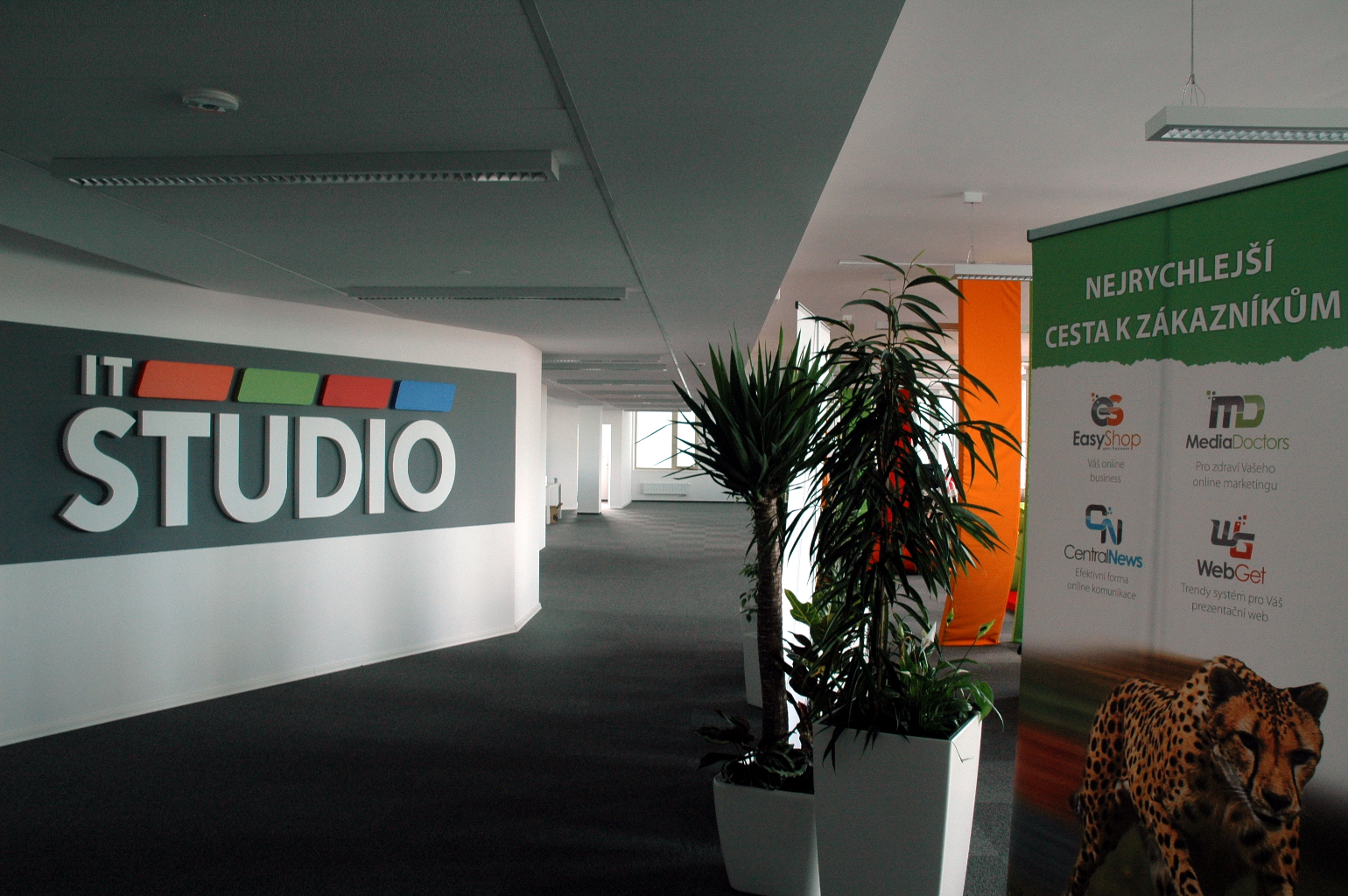 IT STUDIO, s.r.o. foto 3