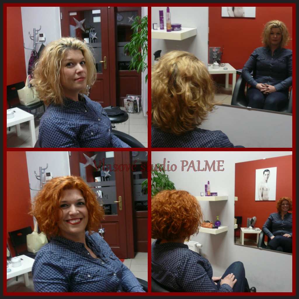 Vlasové studio PALME foto 3