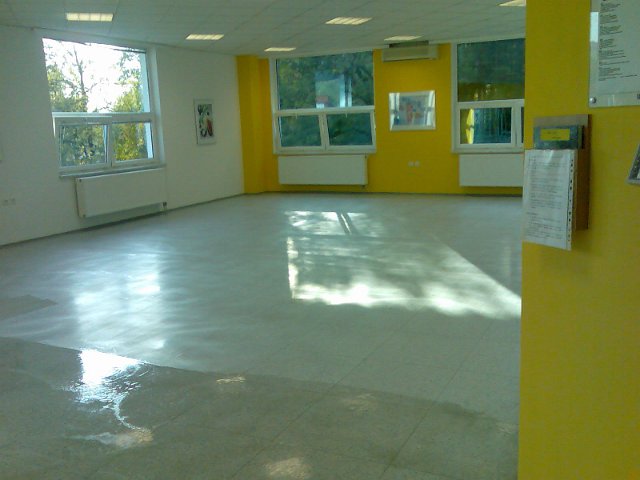 ÚKLIDOVÁ FIRMA - RADMILA MIKELOVÁ foto 3