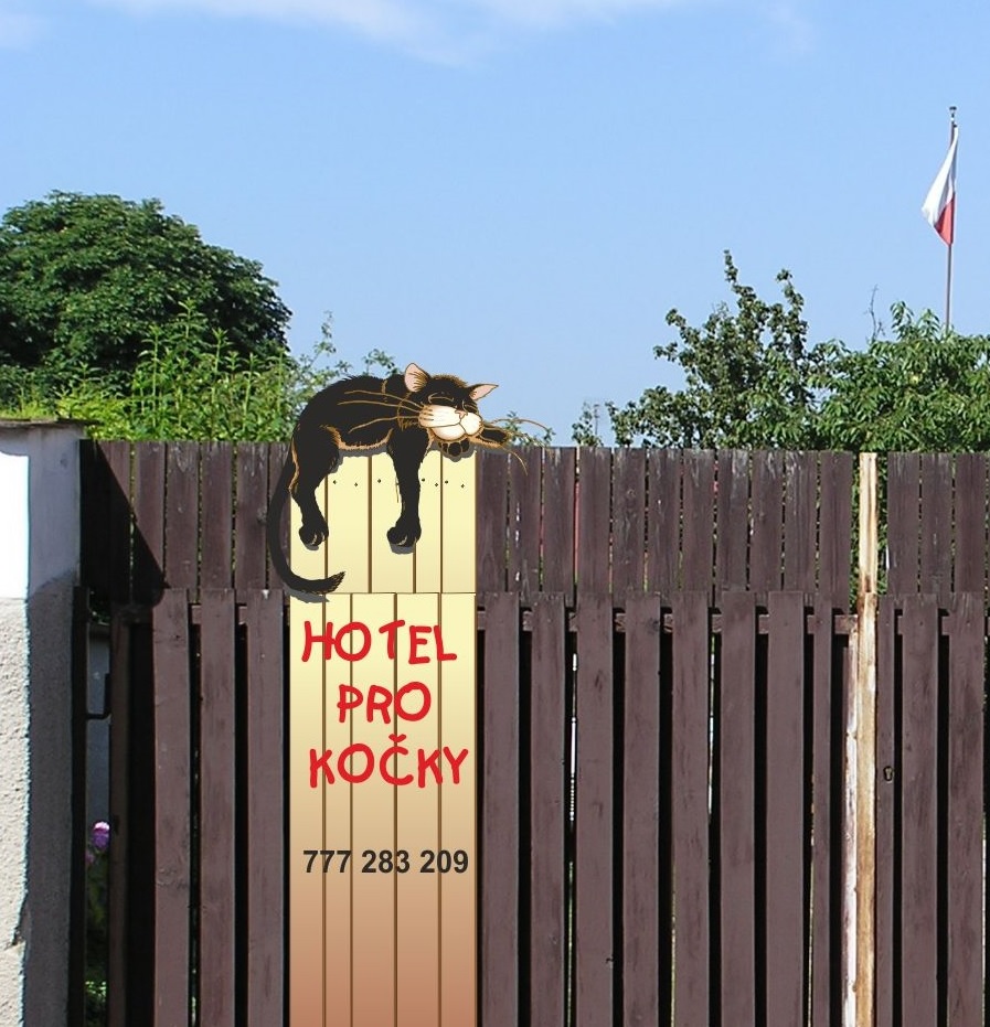 Hotel pro kočky - Lucie Zmeškalová foto 1