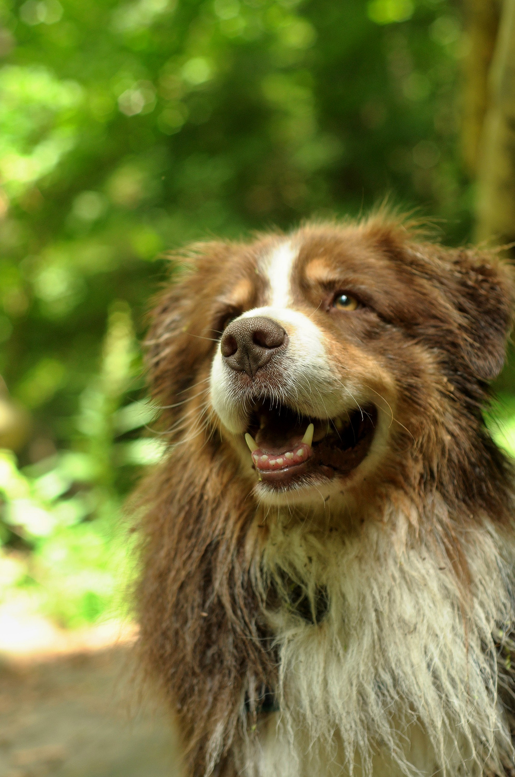 MVDr. Michaela Hejlková - Veterinární ordinace foto 3