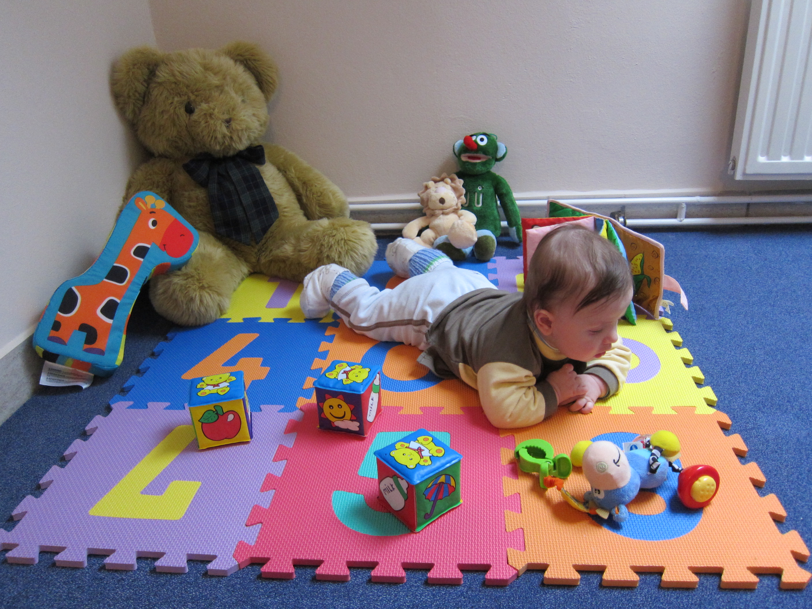 Ing. Ivana Dvořáková foto 4