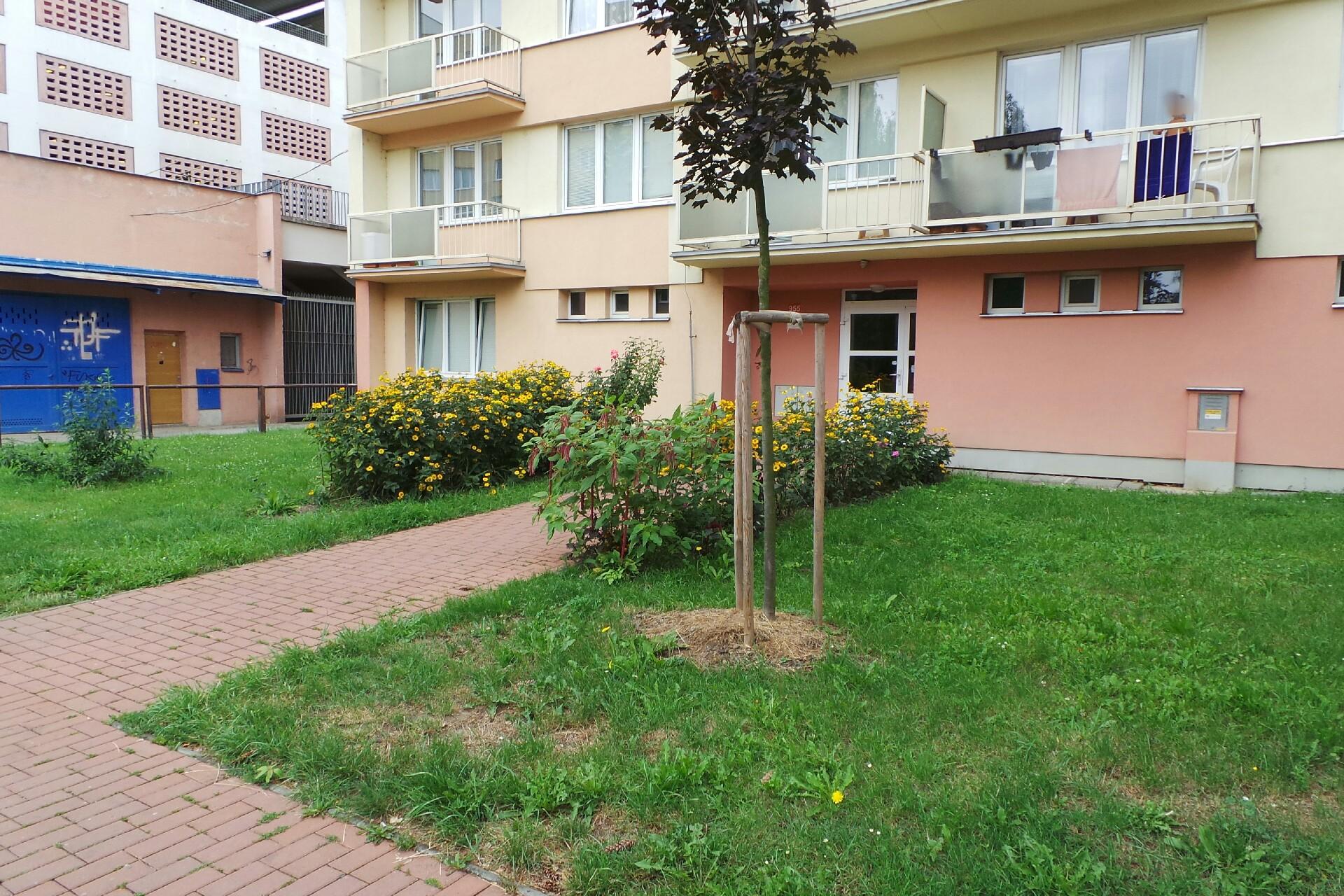 Anna Alexandra Nikišova - svatební fotograf