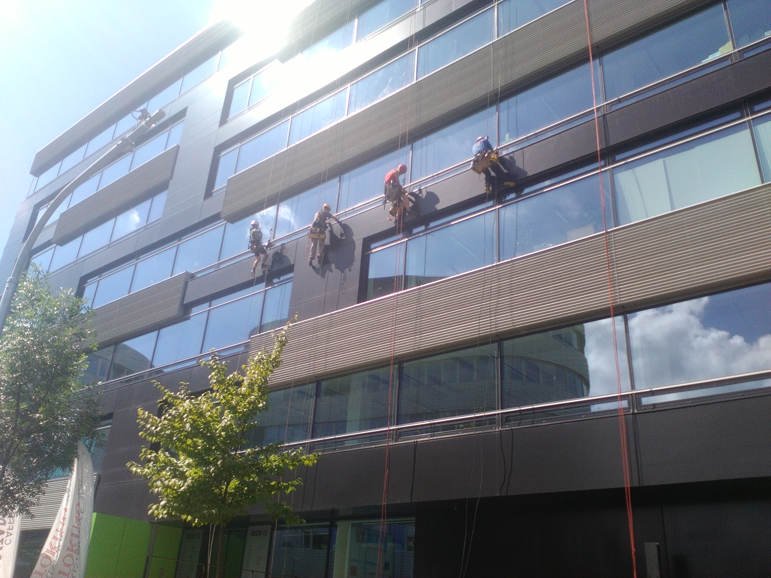 ARBOVERT s.r.o. foto 2