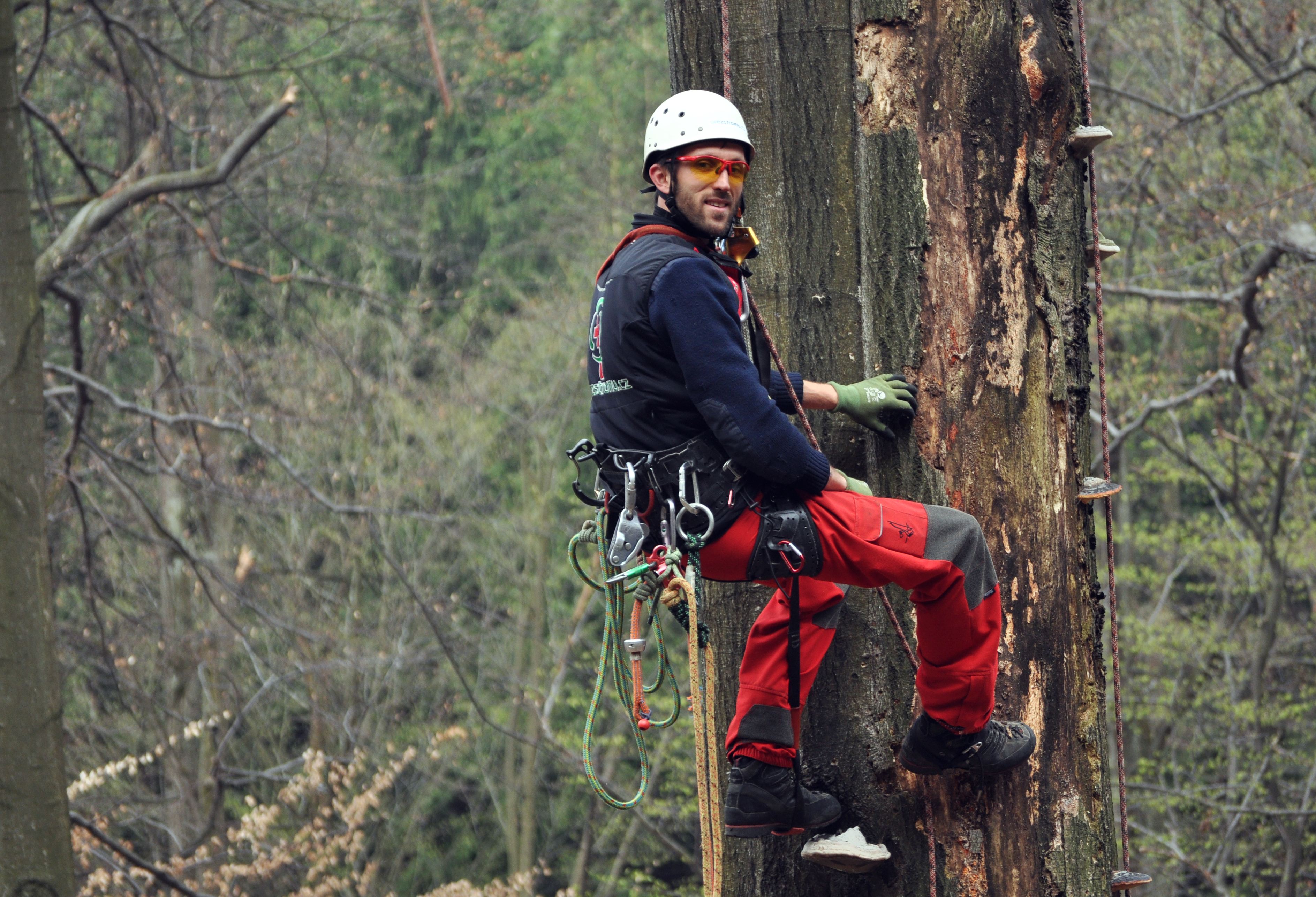 Ořez Stromů - Radovan Kučera foto 4