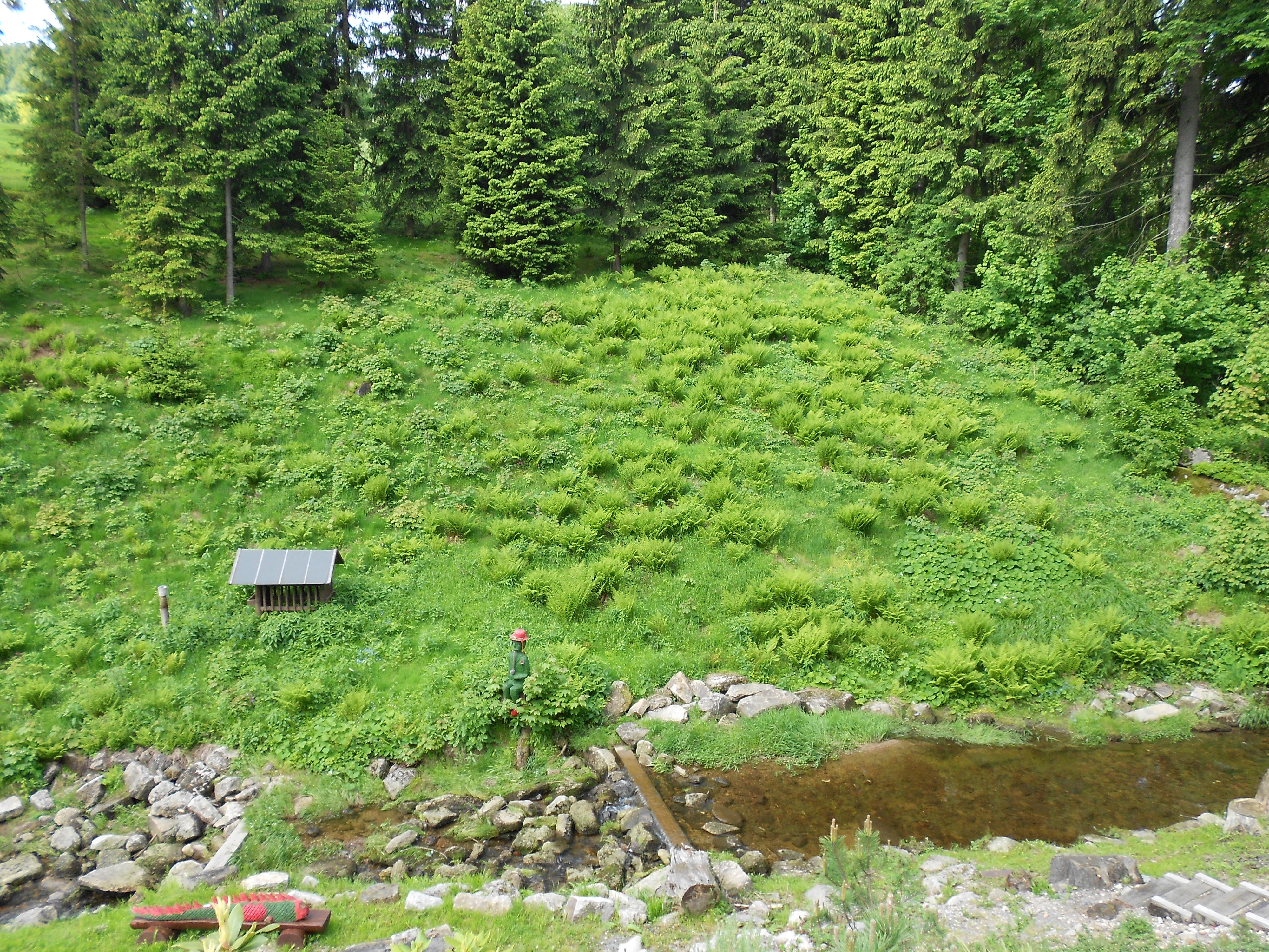 Horská chata Jarmilka - Bedřichov foto 3