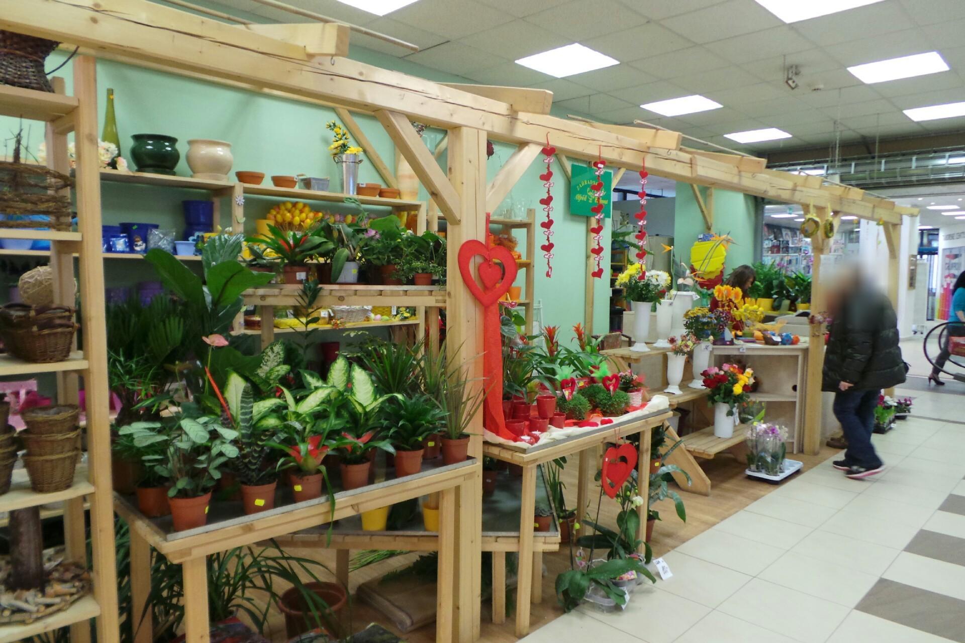 Zahradnictví Alfréd Kohout