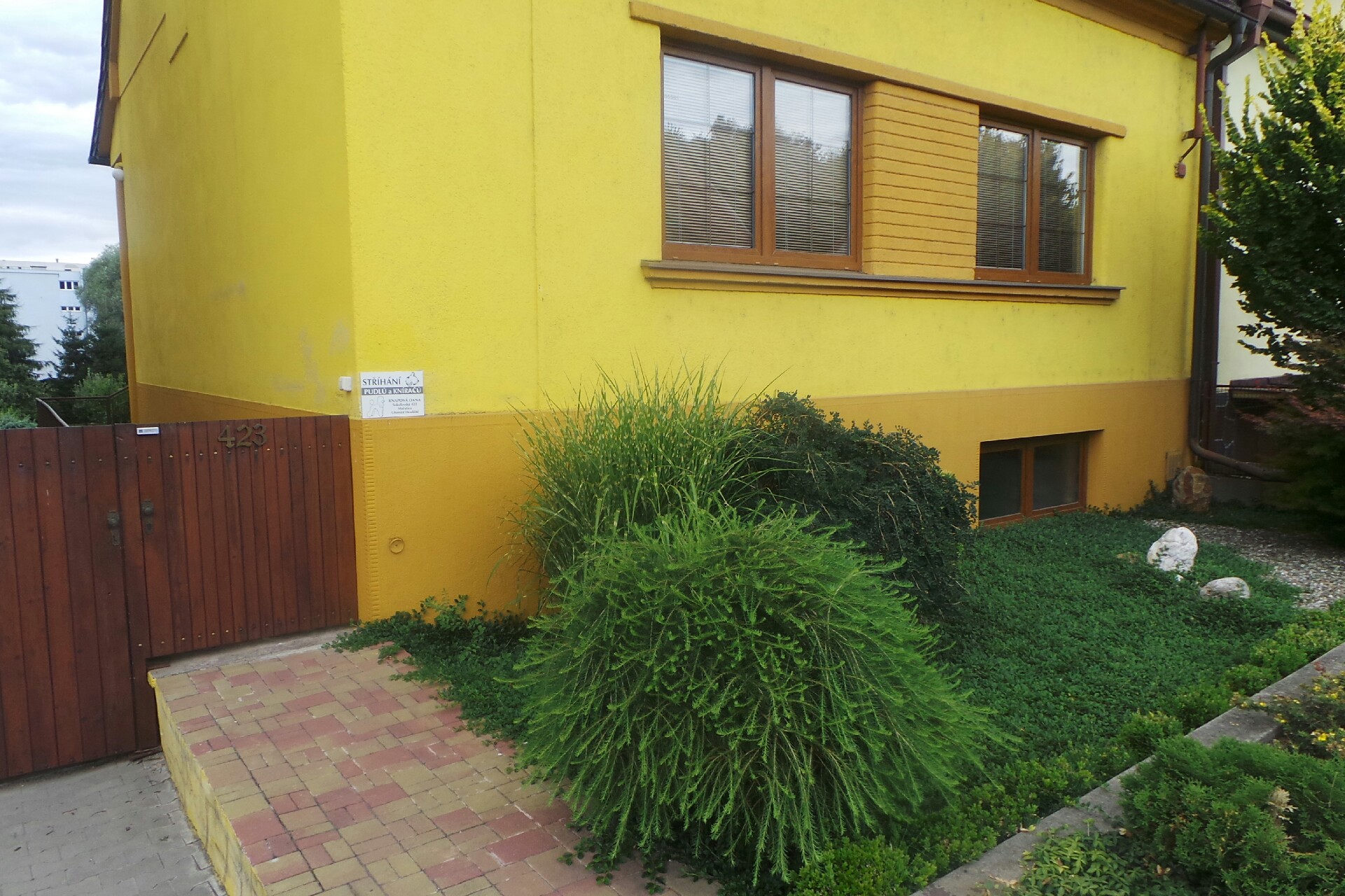 Stříhání a koupání psů Dana Knapová foto 1