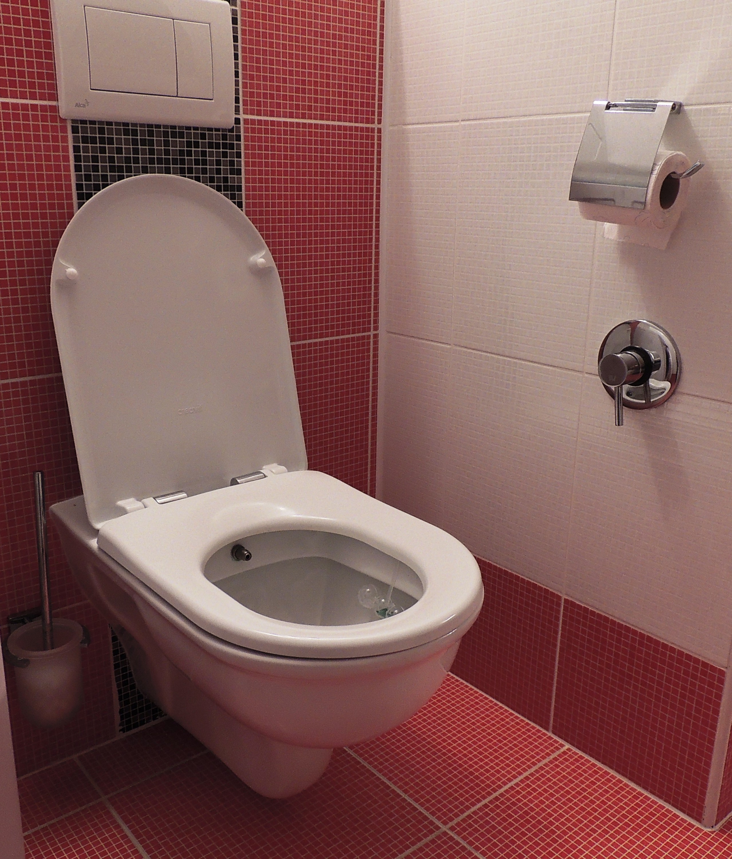 WCbidet2v1.cz foto 4