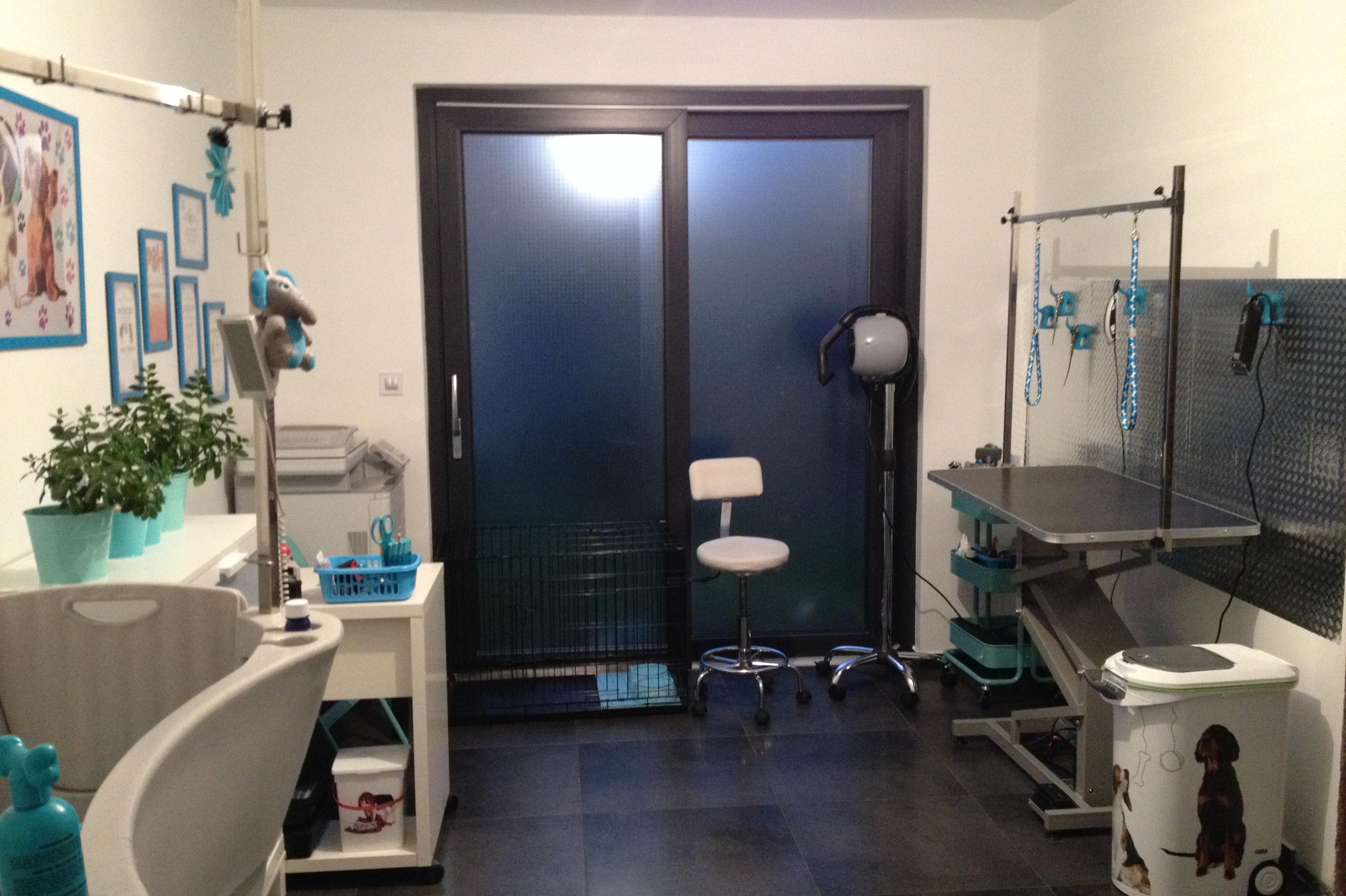 Psí salon BOO - Lenka Vlachová