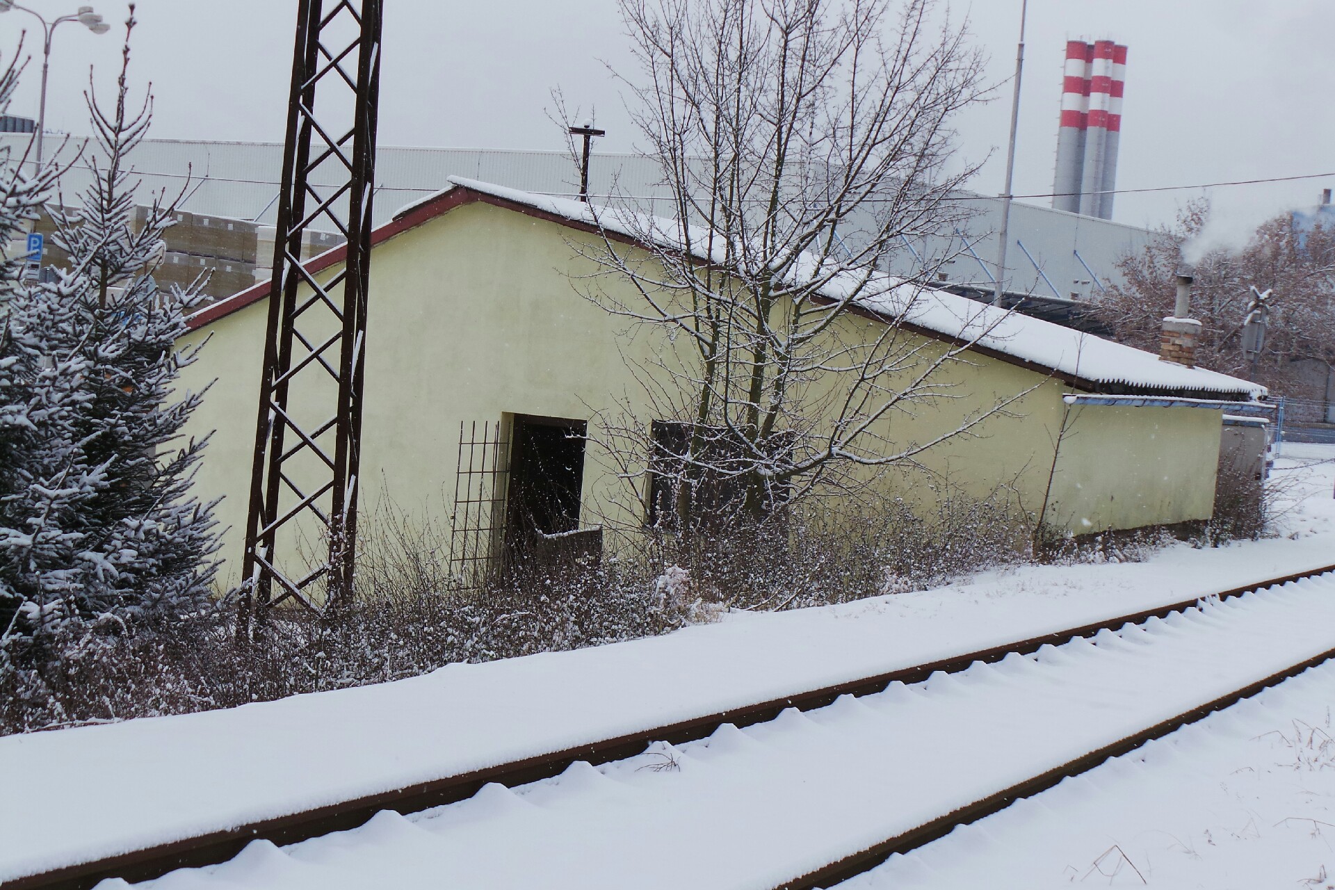 Český kynologický svaz ZKO Častolovice - 369