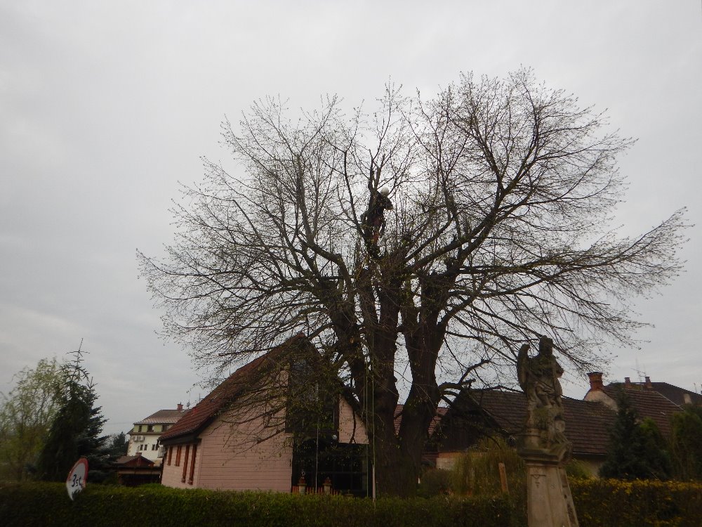 Antonín Přibyl foto 2