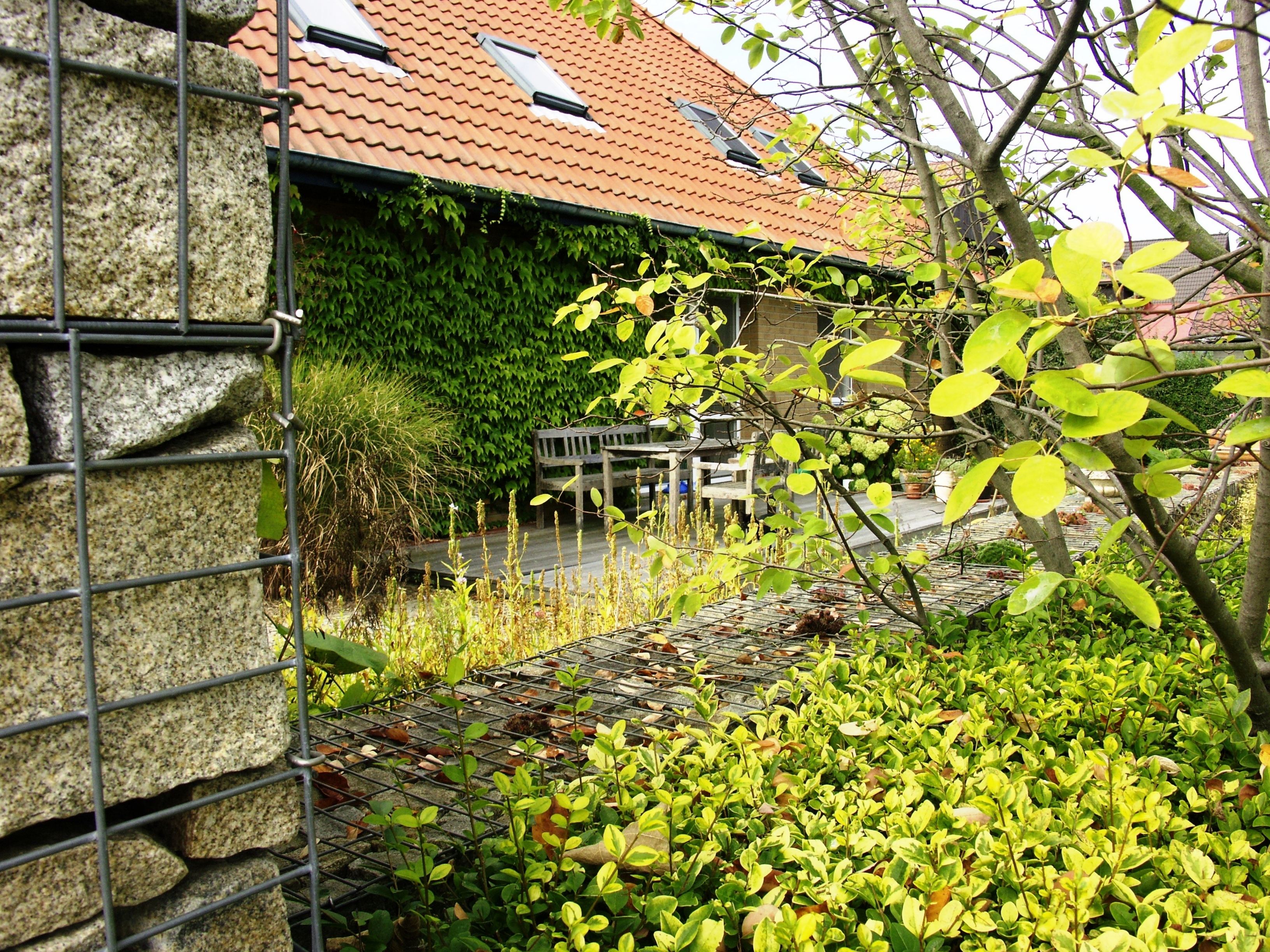 GREEN FORMS - Ing. Monika Bíziková foto 3