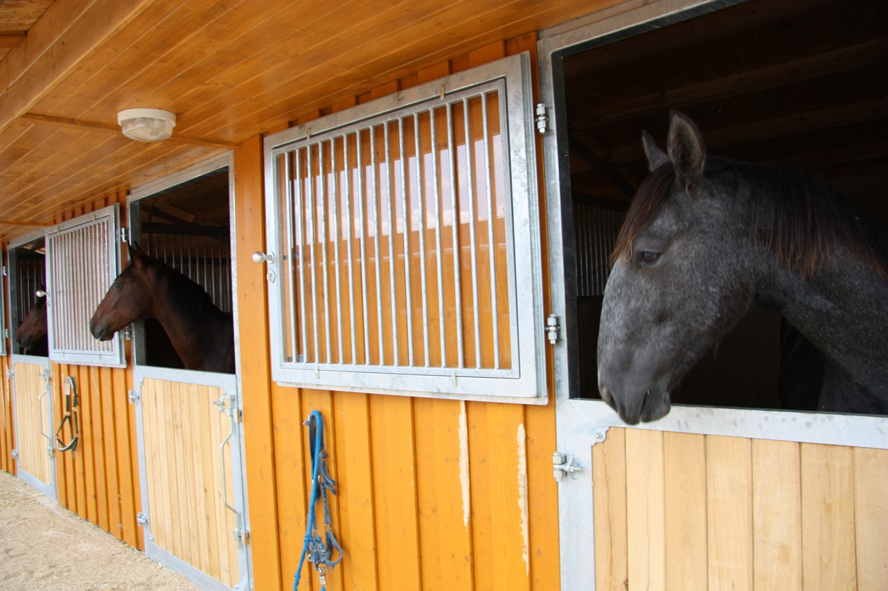 metaxo s.r.o. foto 2