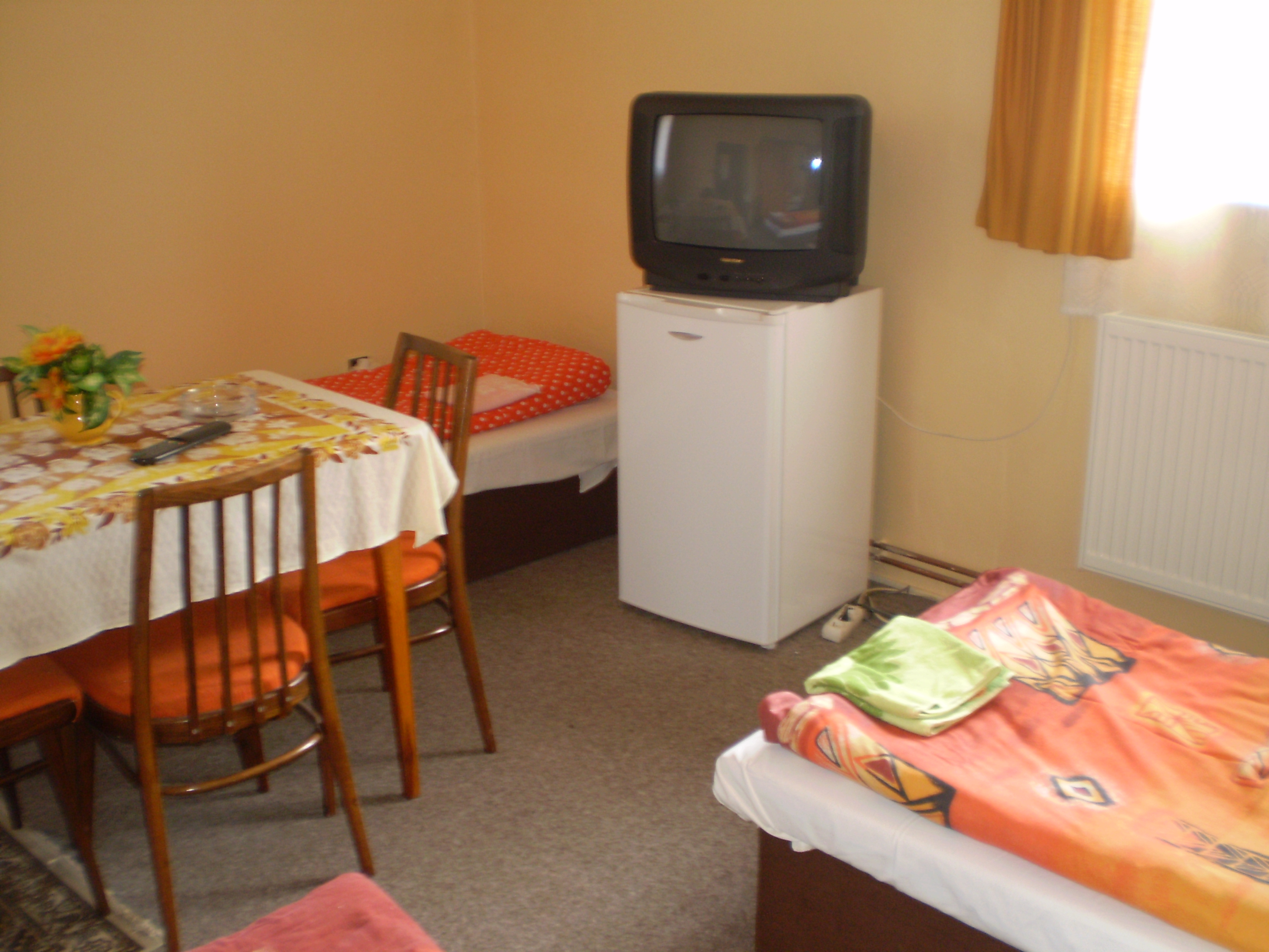 Penzion ve Mlýně foto 4