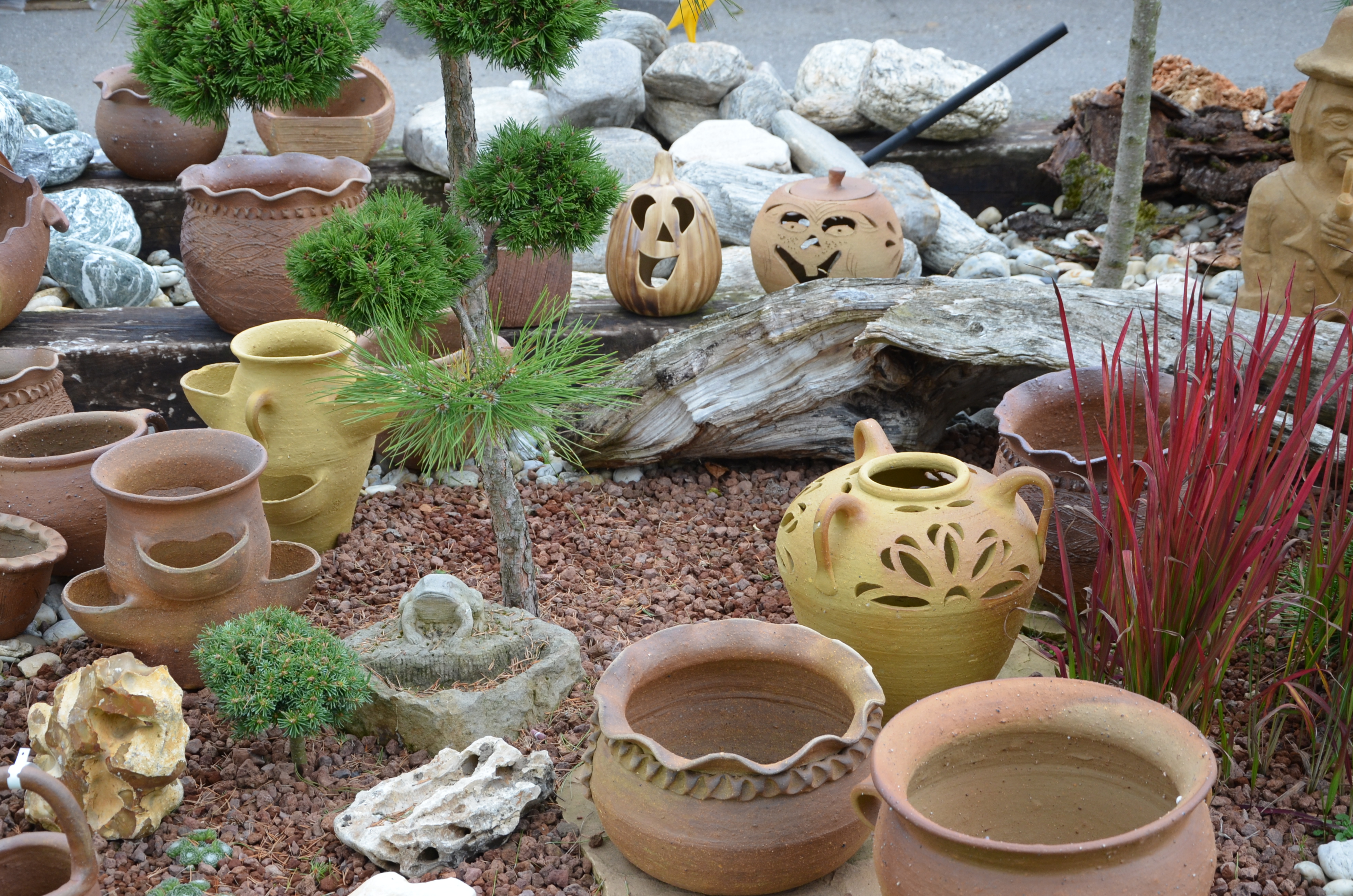 Zahradnictví na Barvínkově foto 2