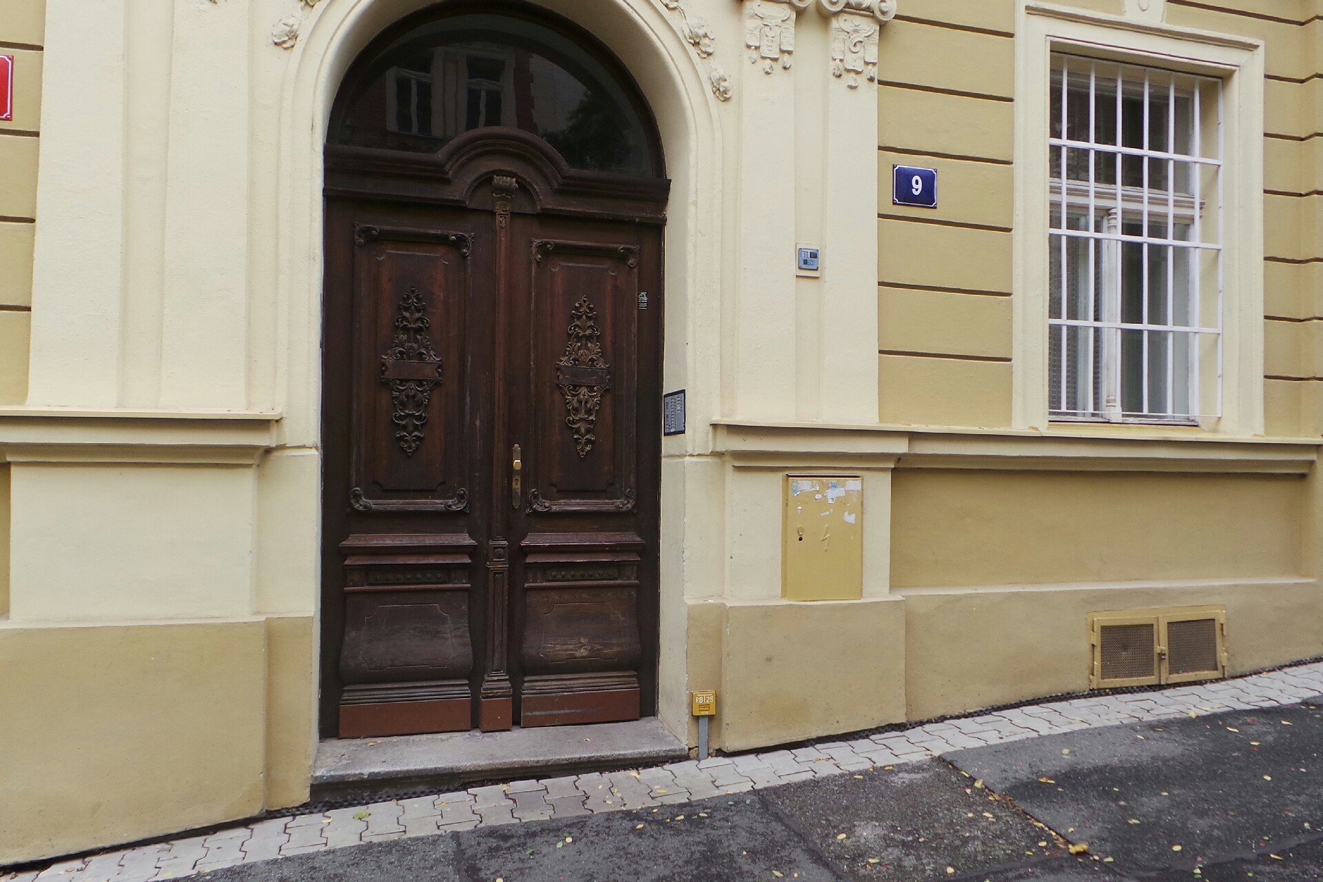 MgA. Kamila Amblerová