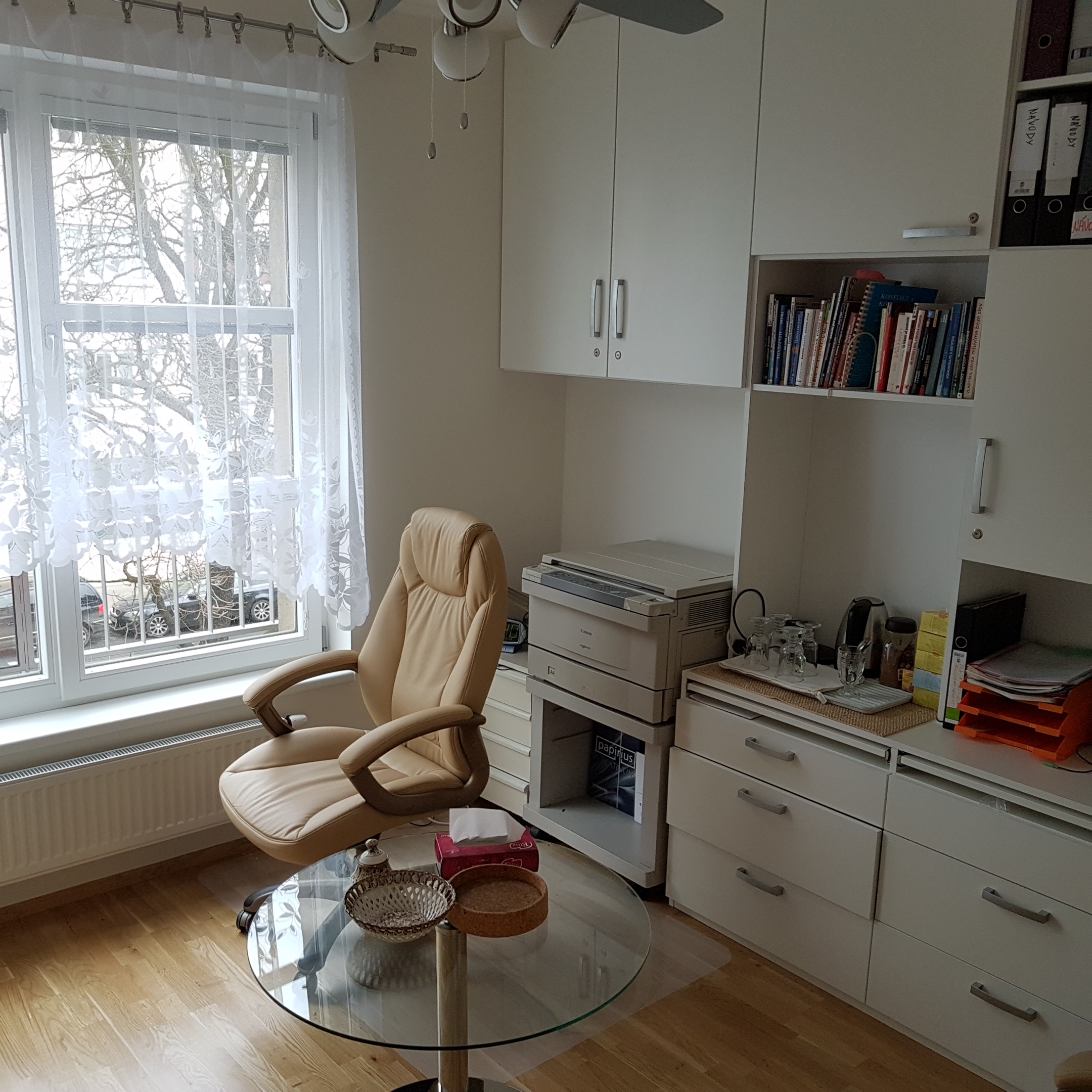 PhDr. Magdalena Frouzová - Centrum integrativní psychoterapie foto 4