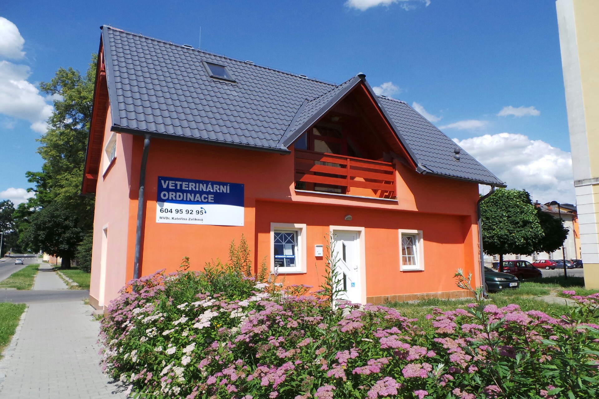 MVDr. Kateřina Zeliková - Körner foto 1