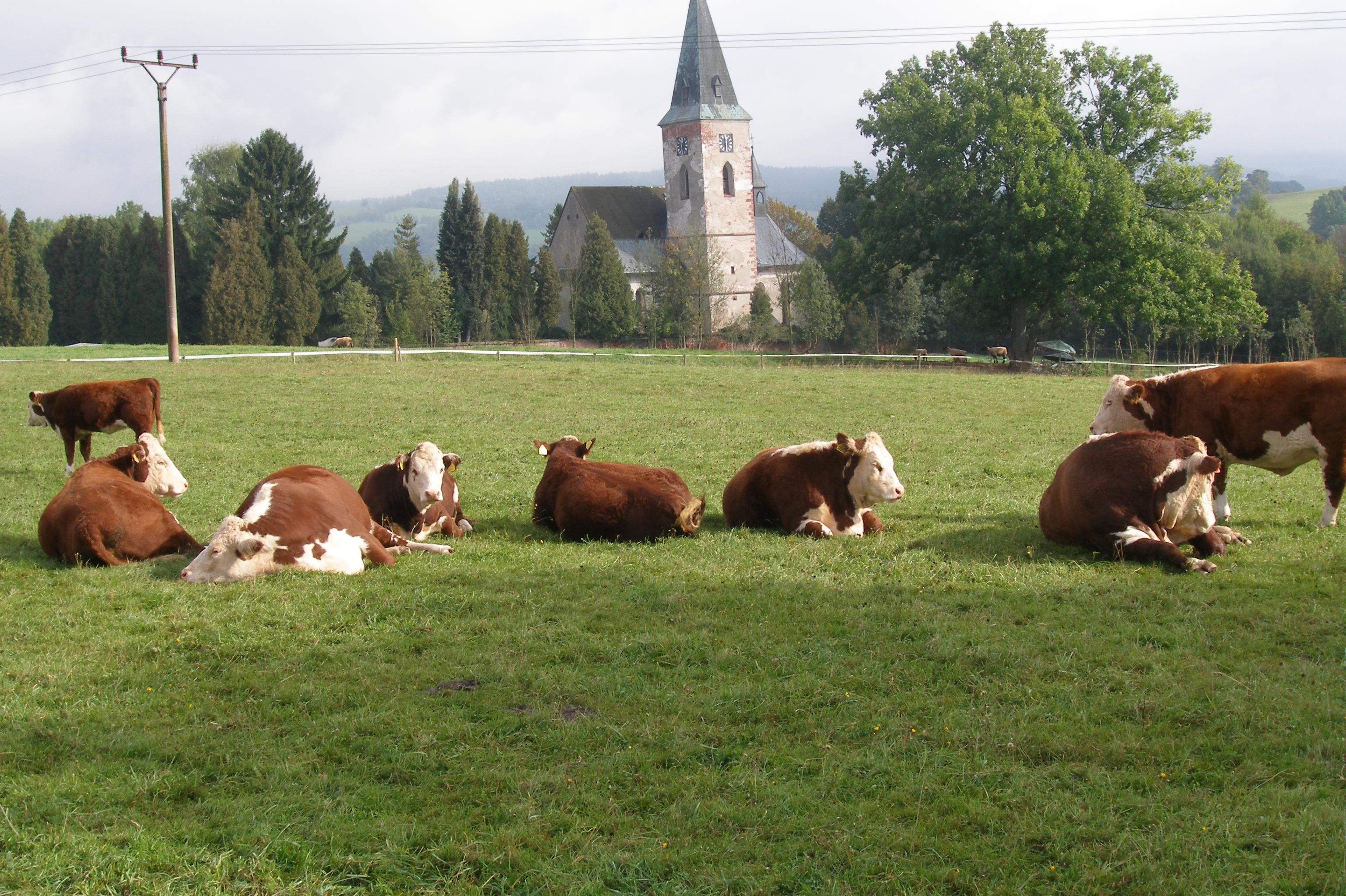 Farma U svatého Jakuba