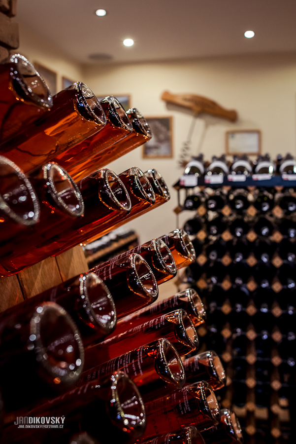 Vinotéka a penzion VÍNO HRUŠKA foto 2