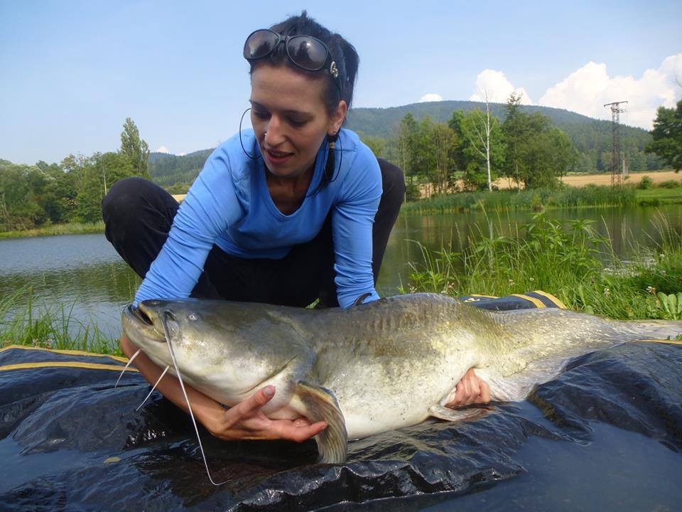 Sumčák foto 6