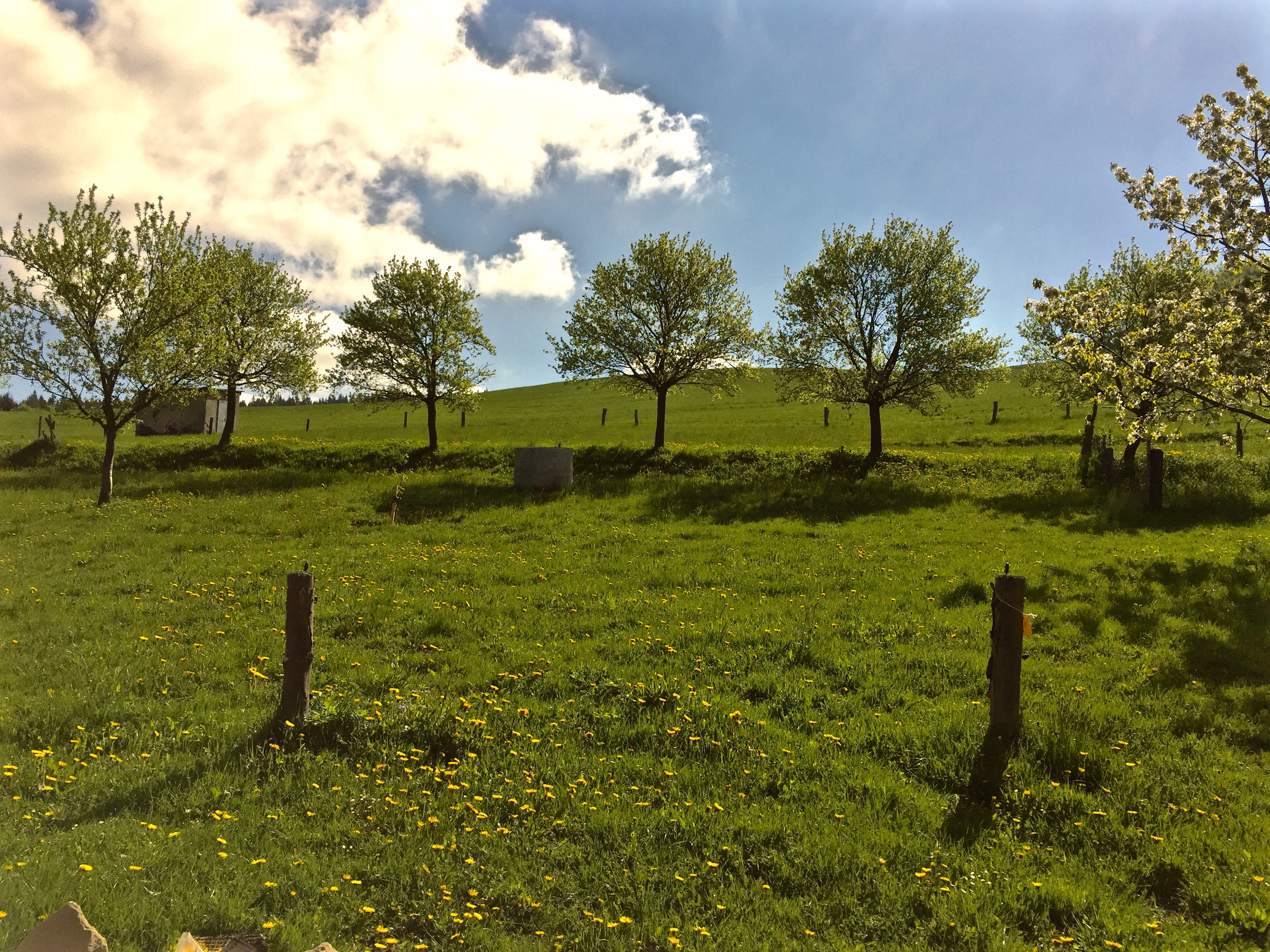 Penzionu U Dorňáků foto 2