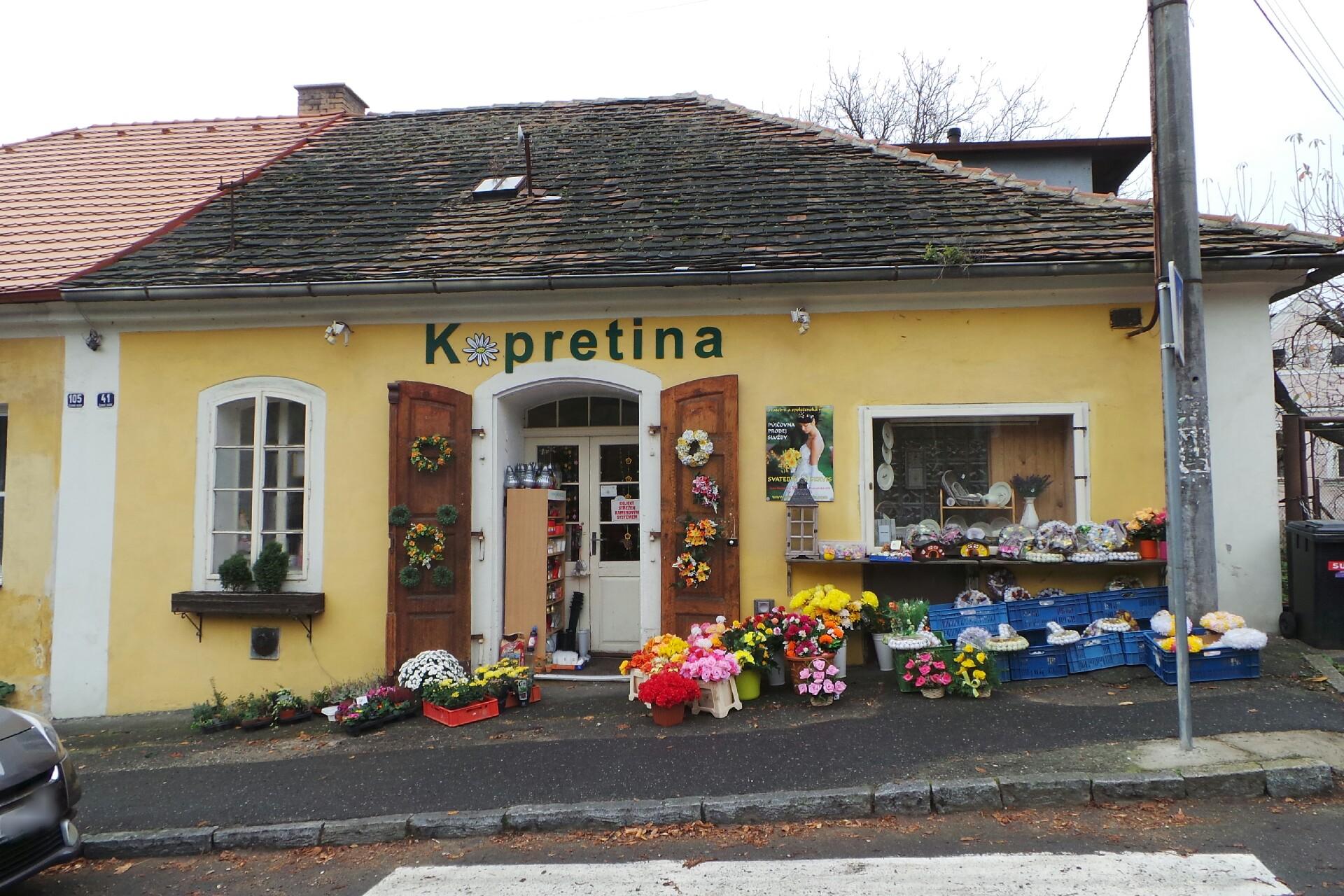 Květinářství Kopretina