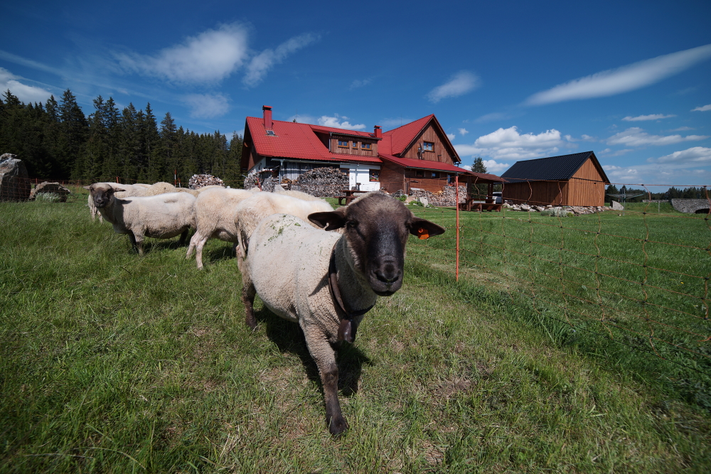 Chalupa U Vydřího mostu foto 3