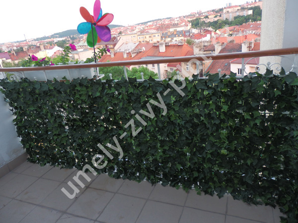 Umely-zivy-plot.cz foto 4